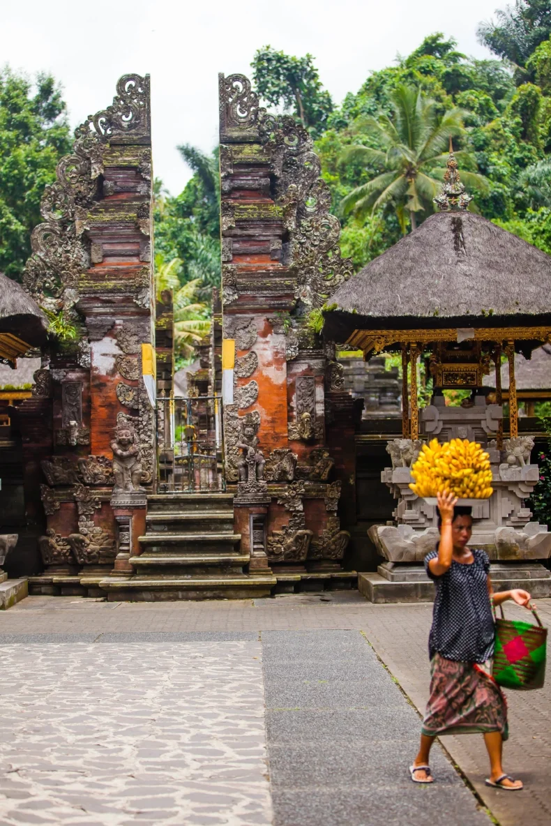 UbudHighlights(1).jpg