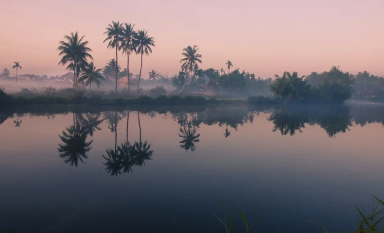 shutterstock_129071531.jpg