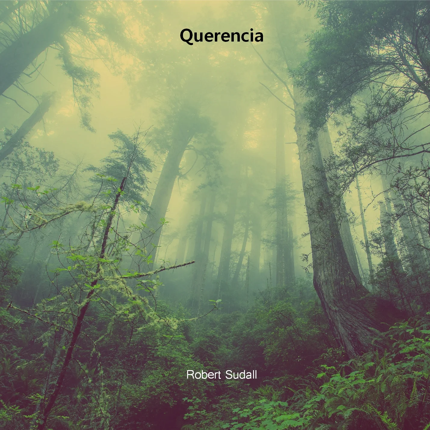 Querencia front cover - high quality.jpg