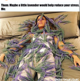 lavender.png