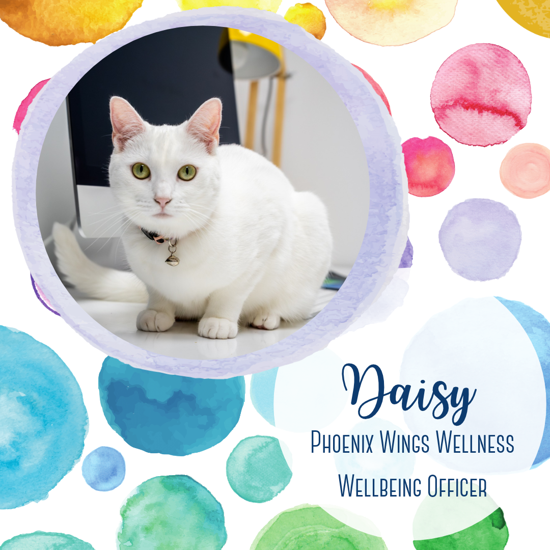 Daisy.png