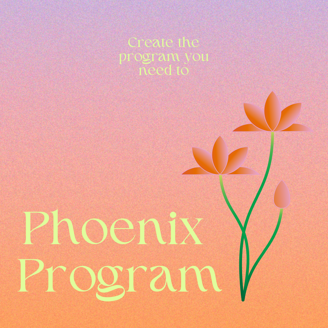 Phoenix Program Single Mentoring Session