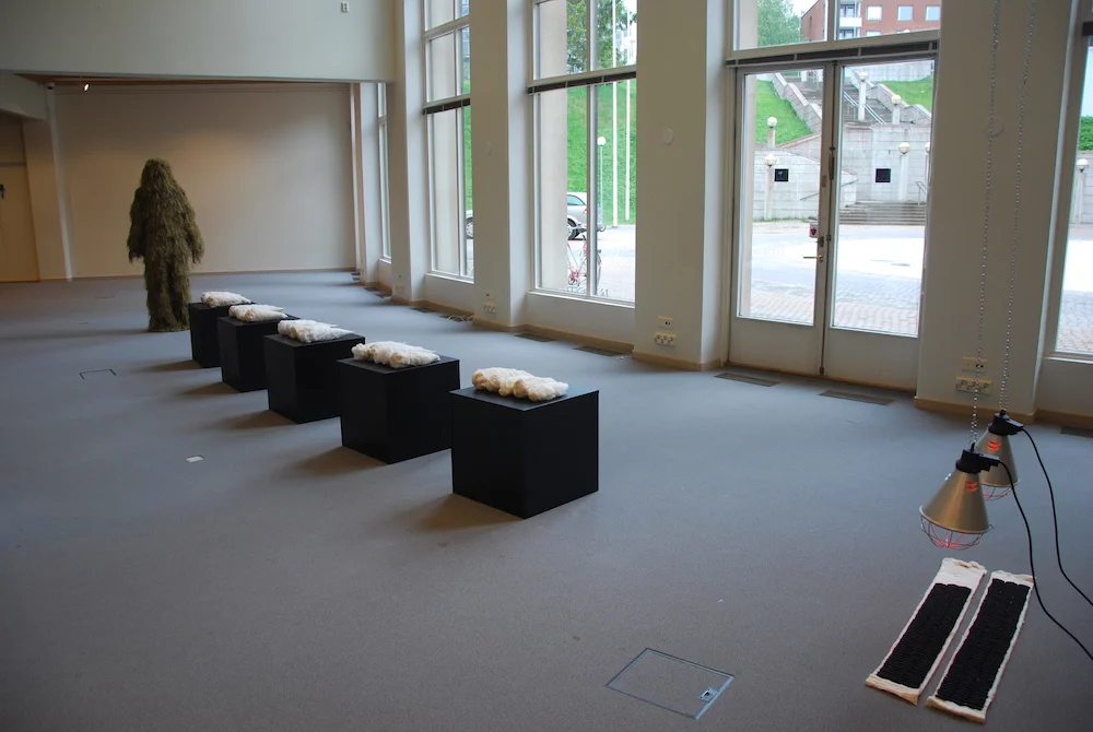 04. Towards IMAGO tiny.jpeg