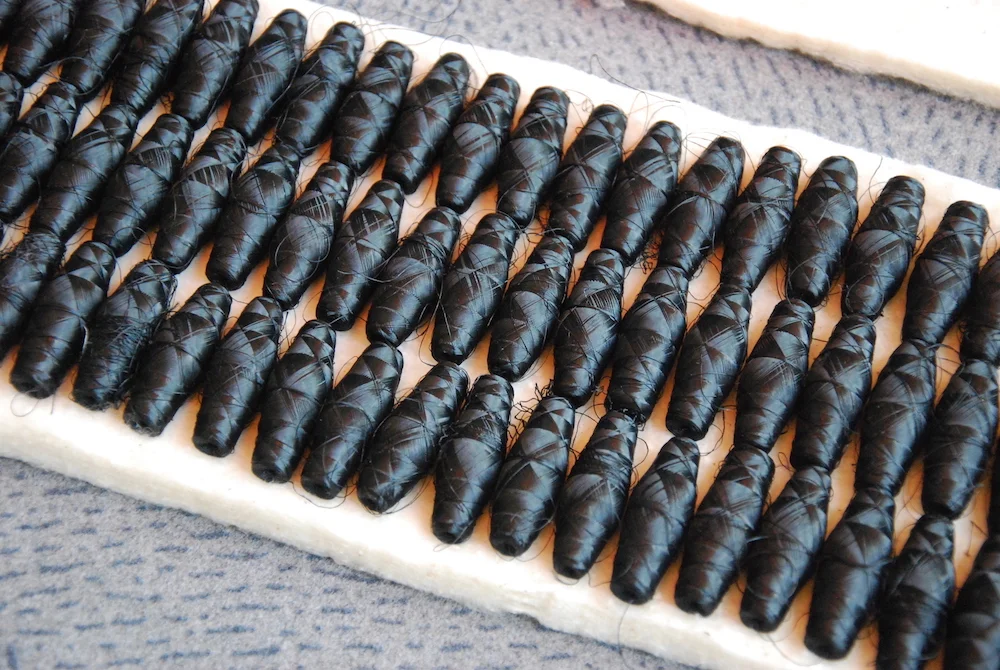 01. Towards IMAGO_puppae tiny.jpeg