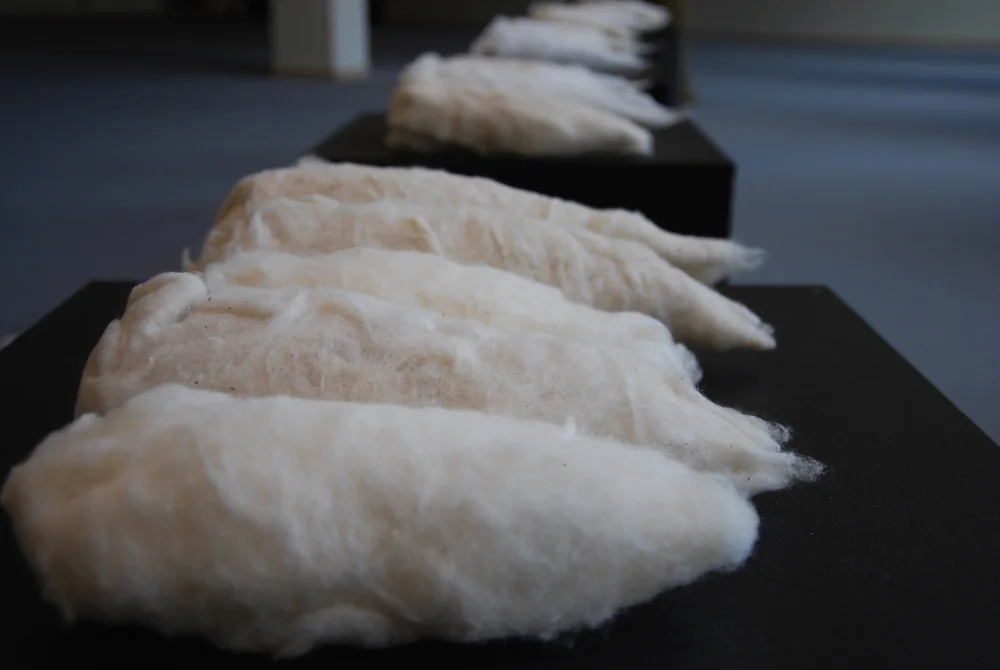 02. Towards IMAGO_kokonger tiny.jpeg