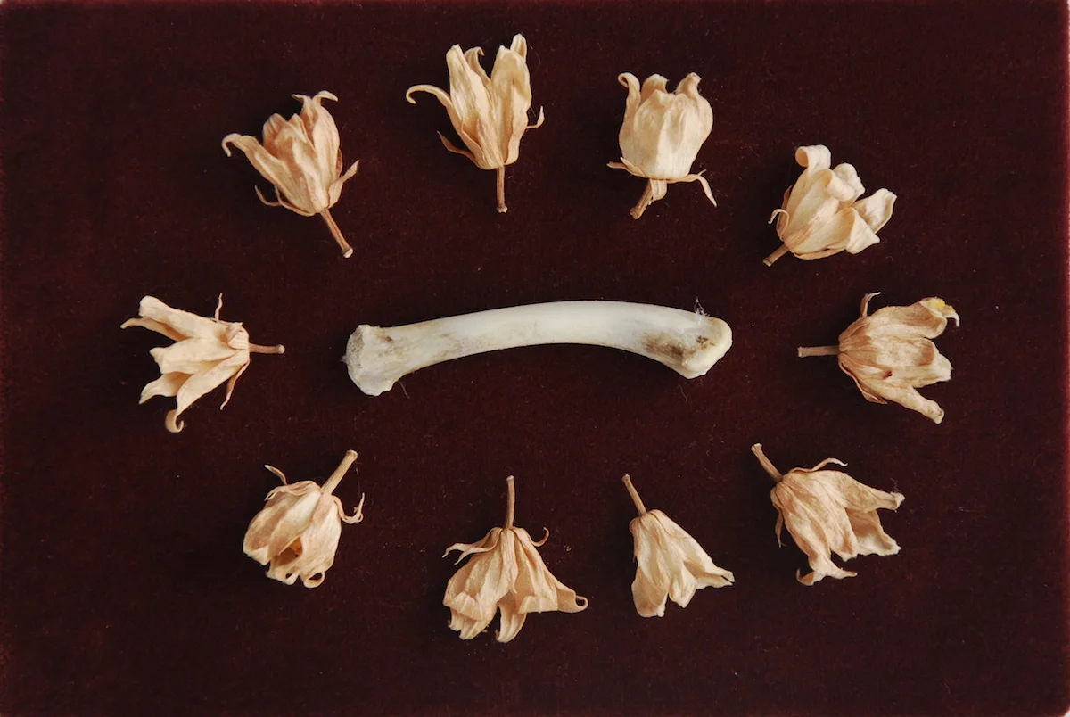 Knota 1_slide.jpg