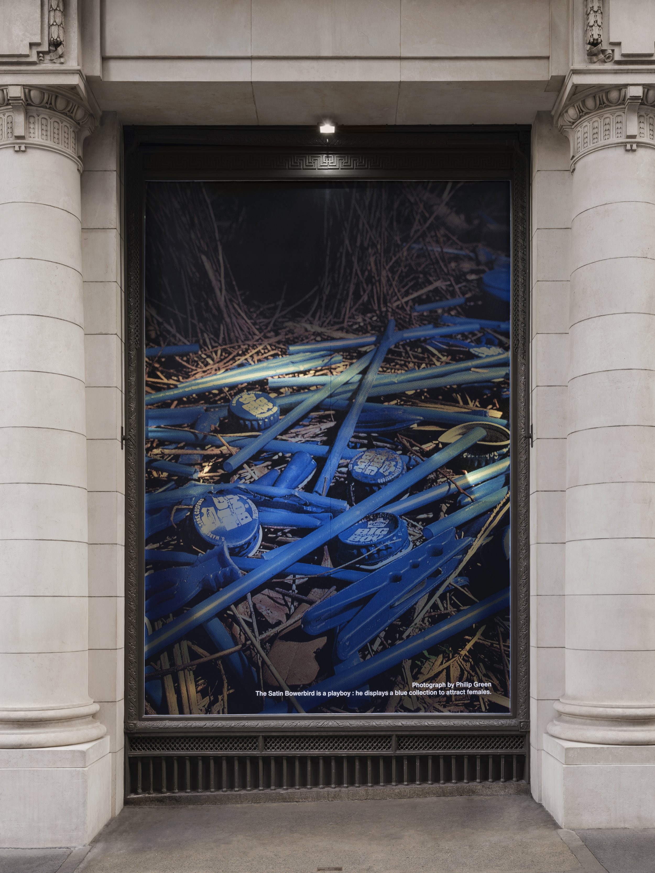 Dover Street Market London Six Magazine Installation