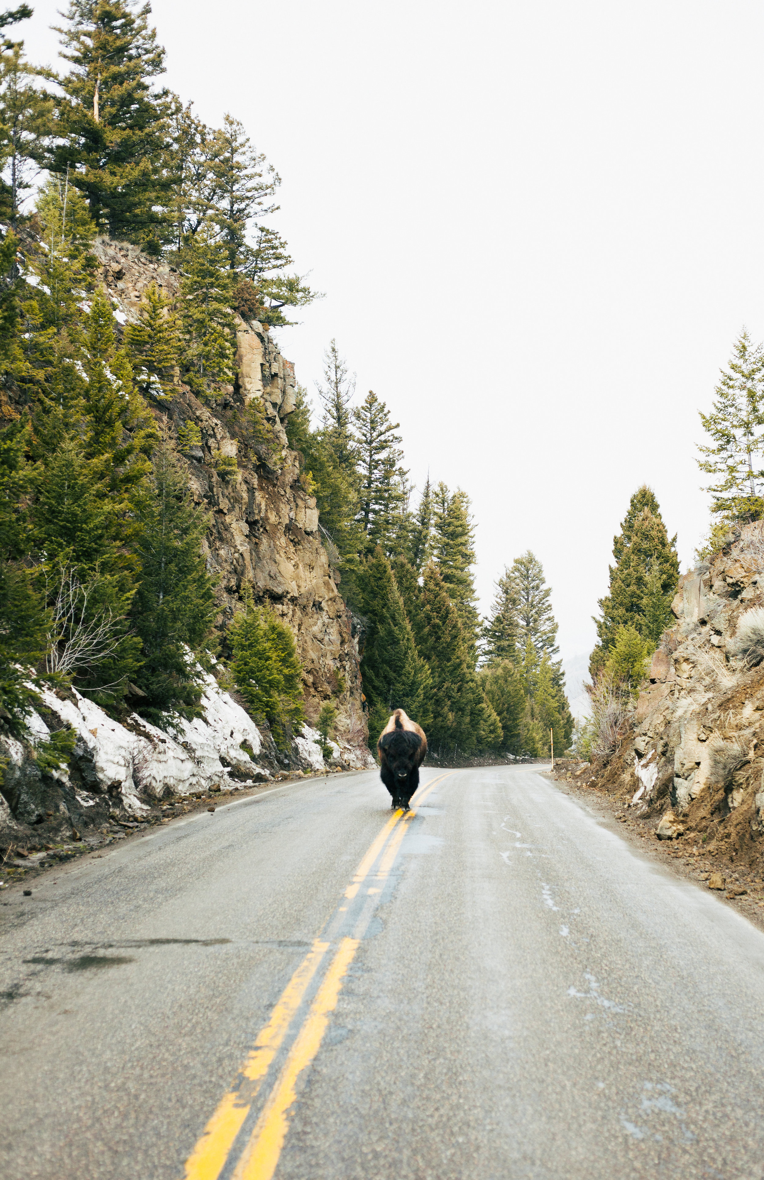 Lazy Sunday at the Boiling River 