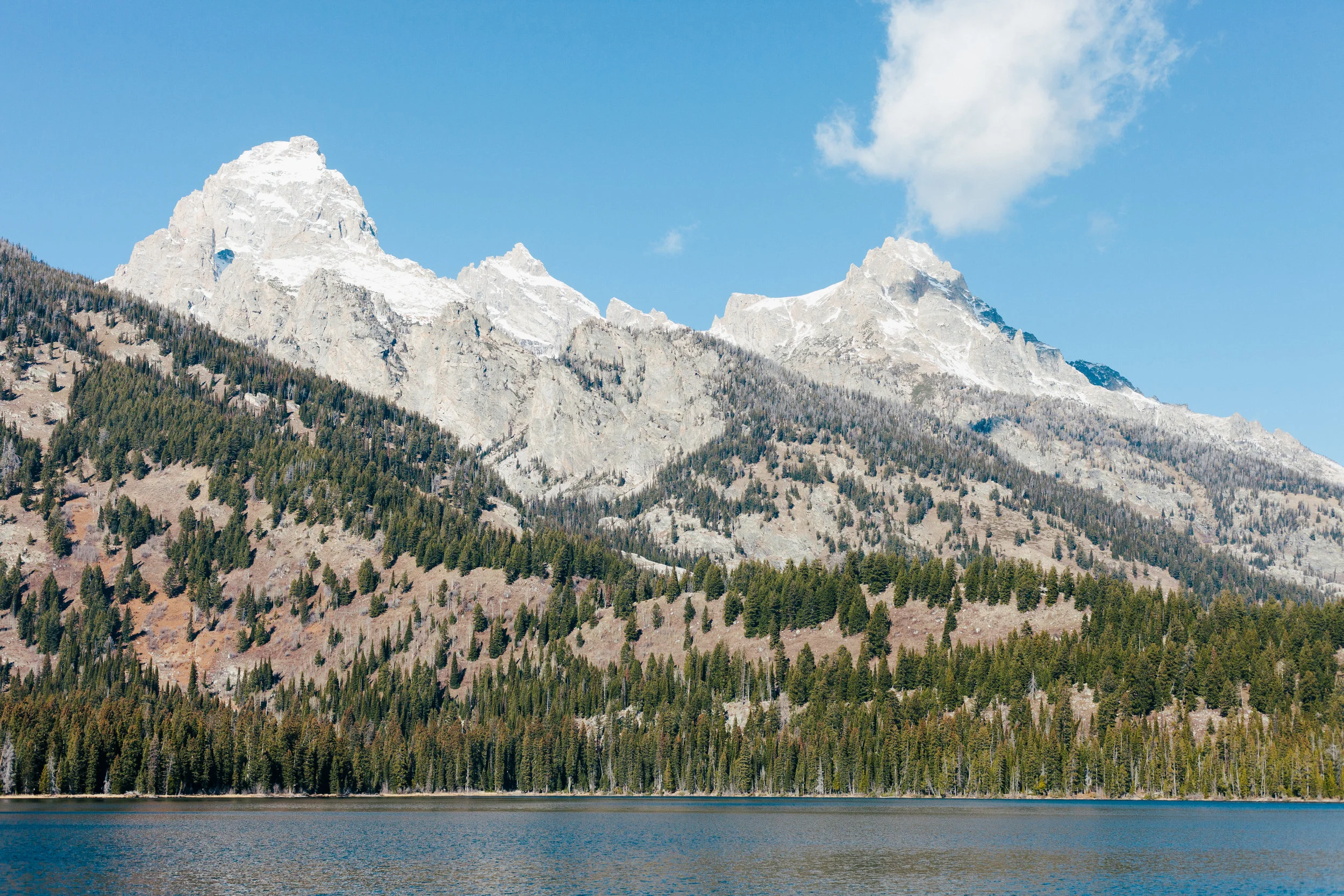 WITH LOVE FROM BOZEMAN: MAY