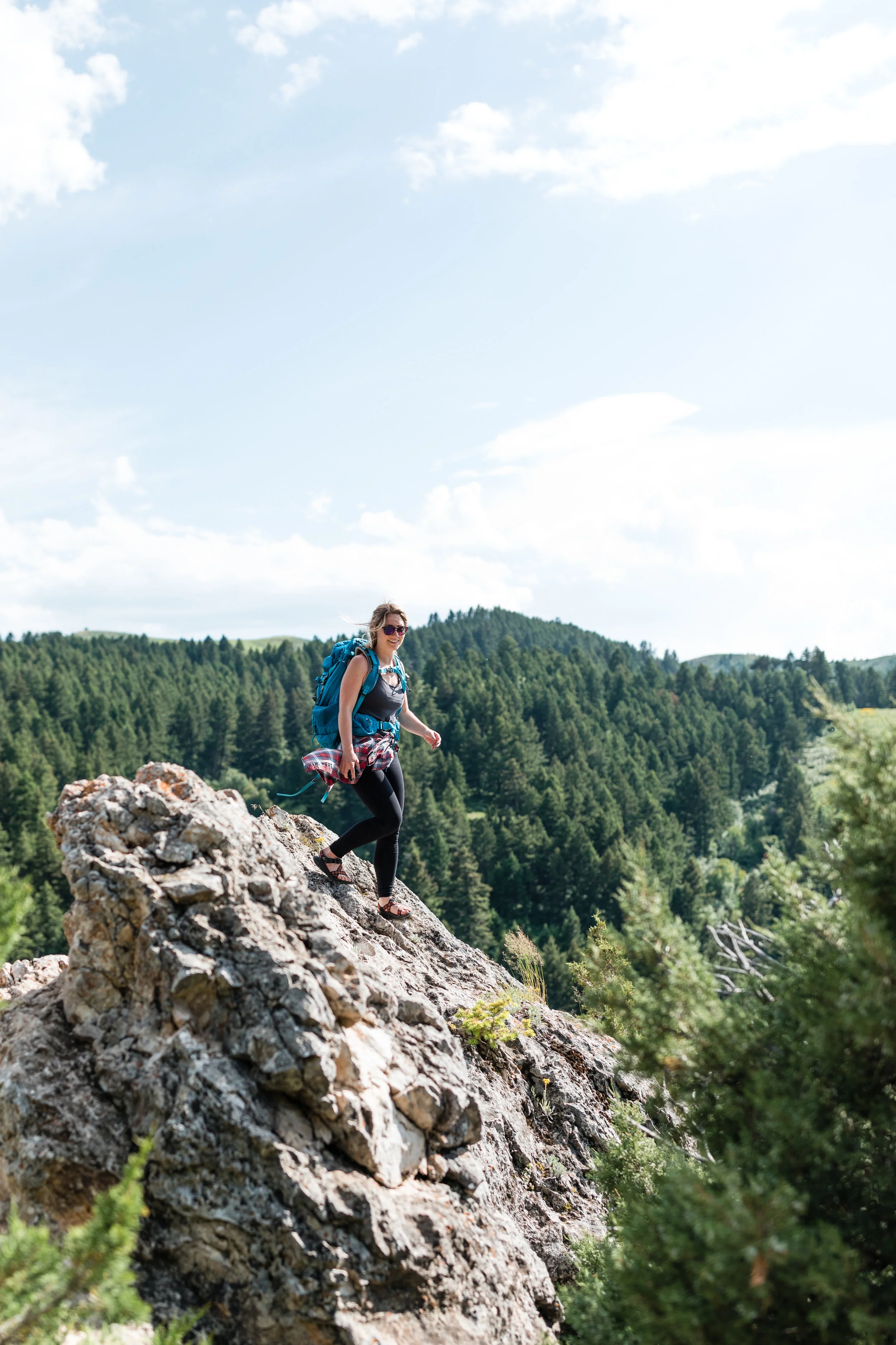 Beartooth_July 2018_005.jpg