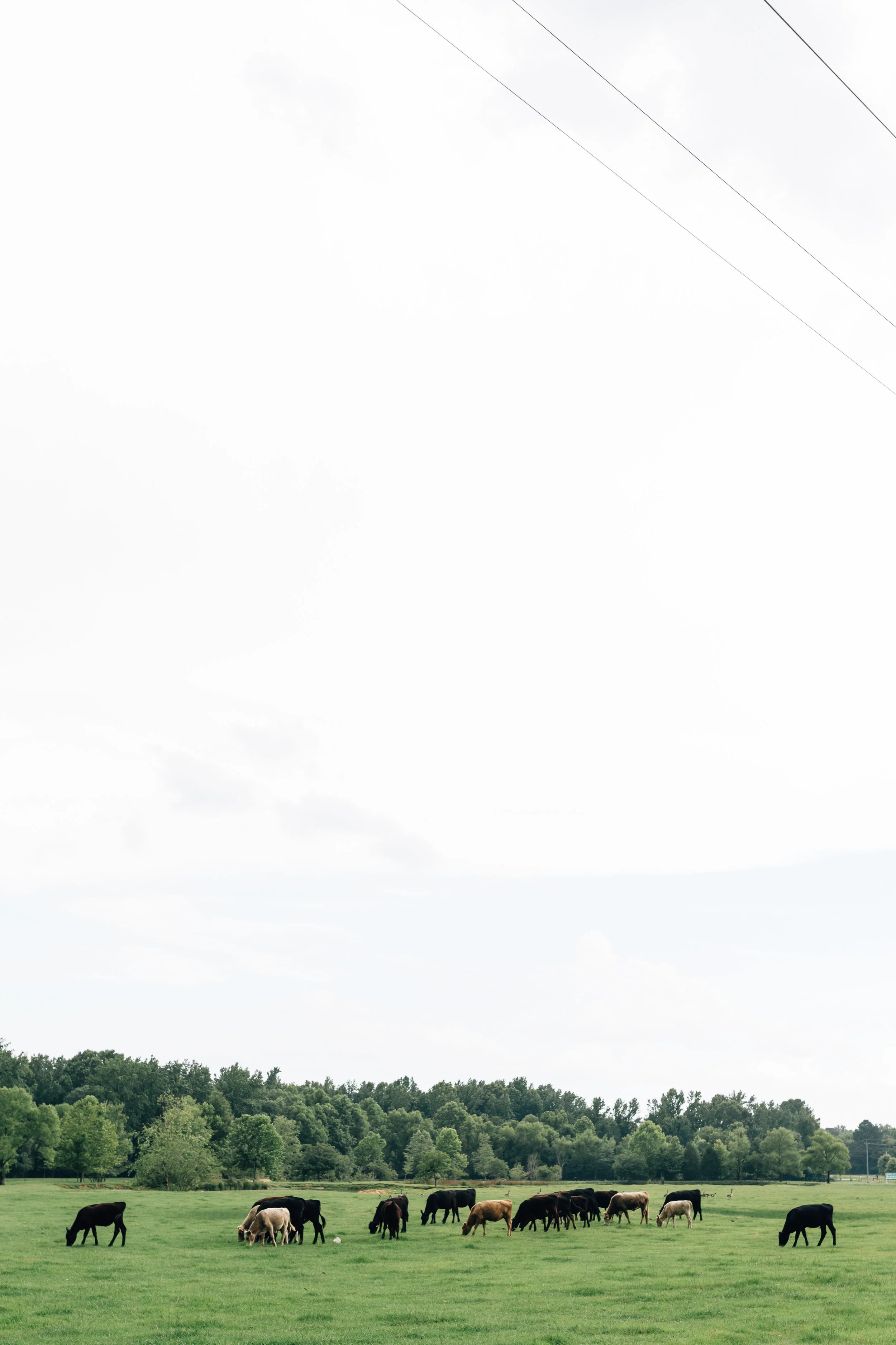 June 2019_002.jpg