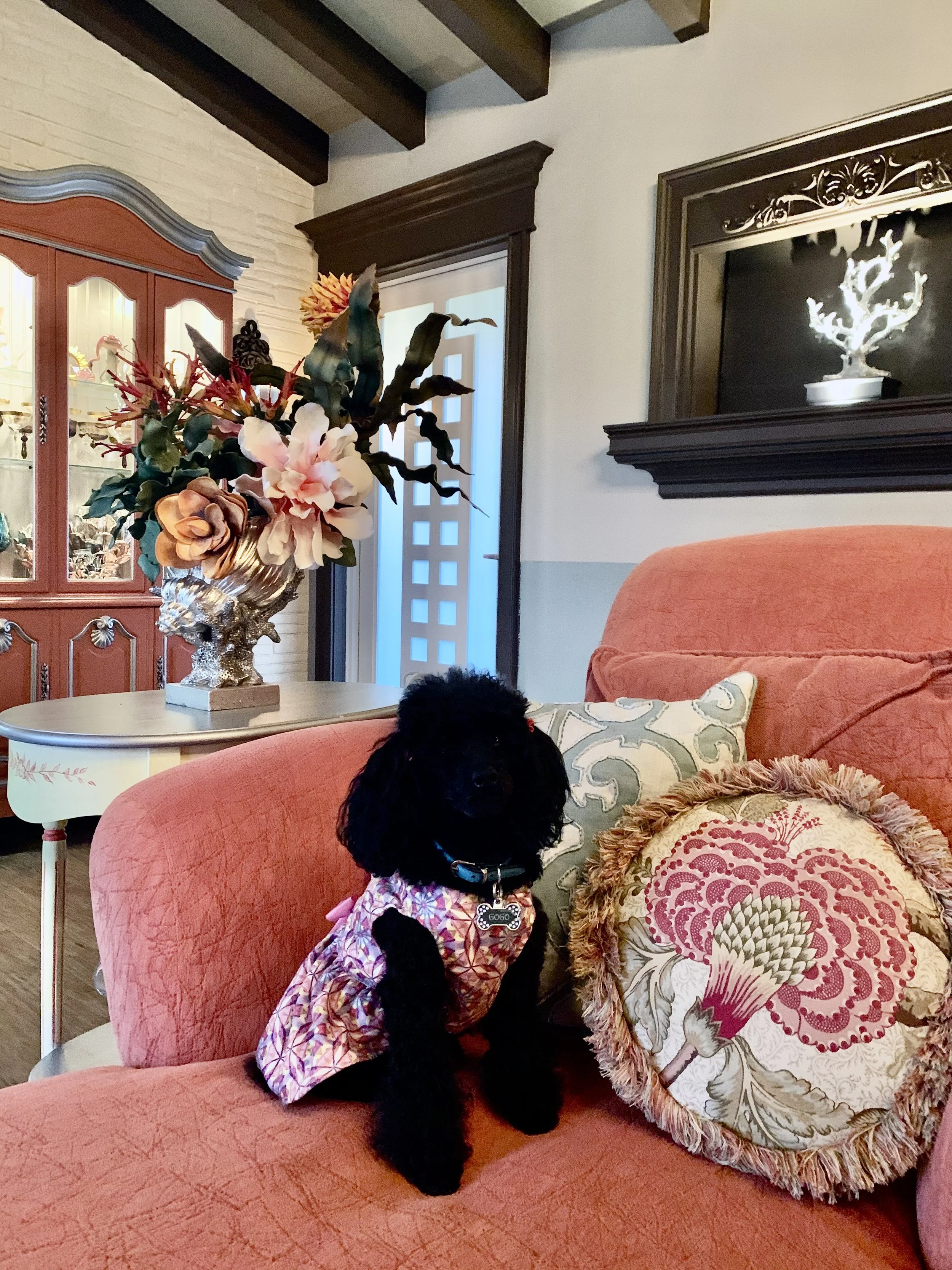 Transitional coastal style living room with coral color sofa and hutch in Fort Lauderdale