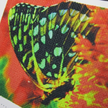 Digital Prints