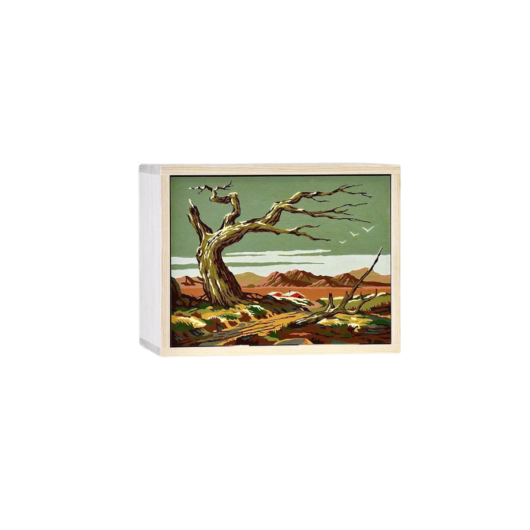 Wall Mounted 1 Drawer Cabinet