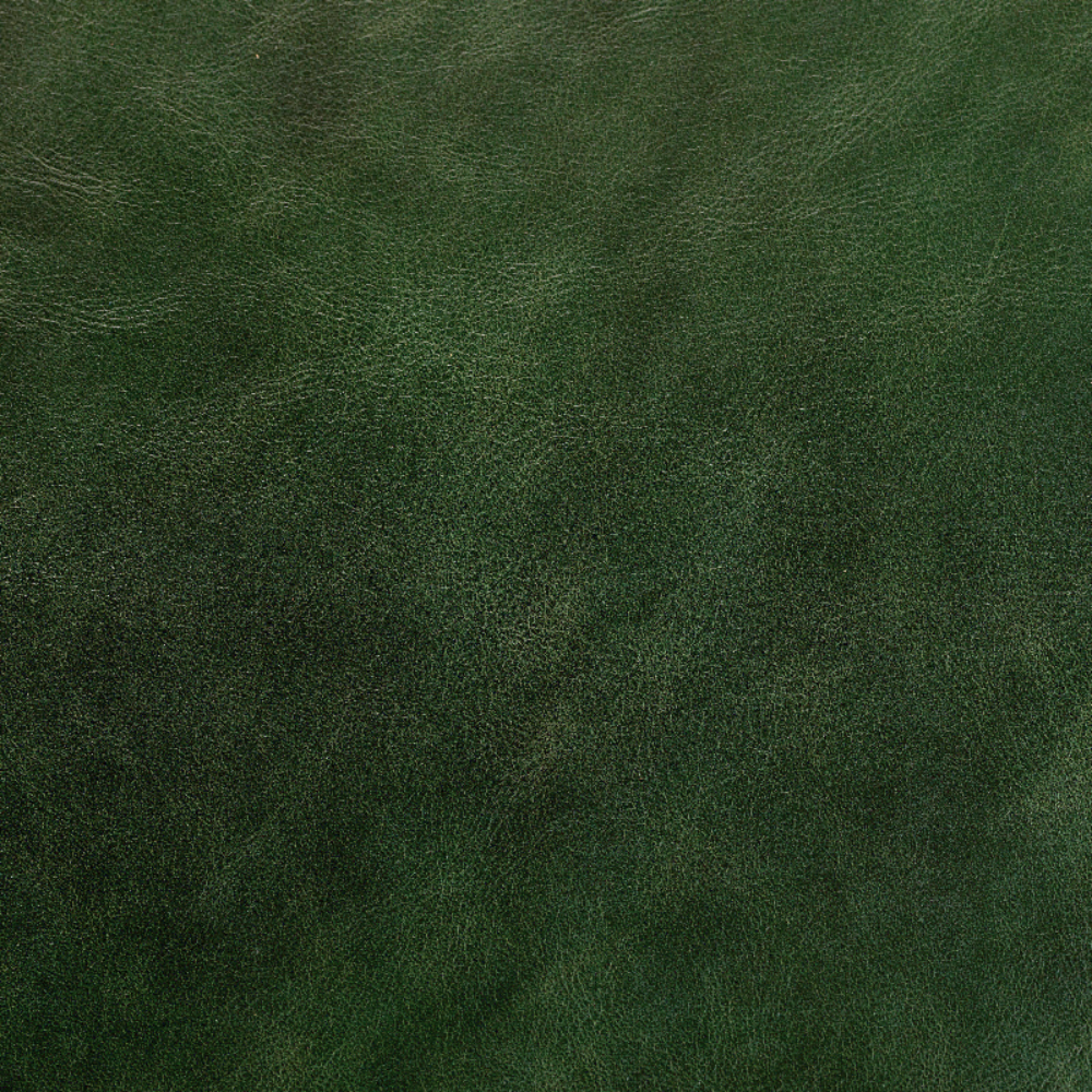 legacy Hunter-Flat.png