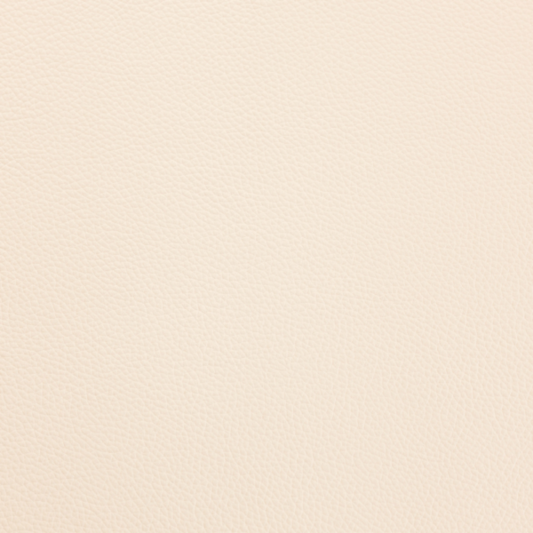 Shelly Cottonseed-Flat-600x600.png