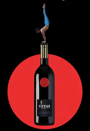 circus_Banner_CROP.jpg