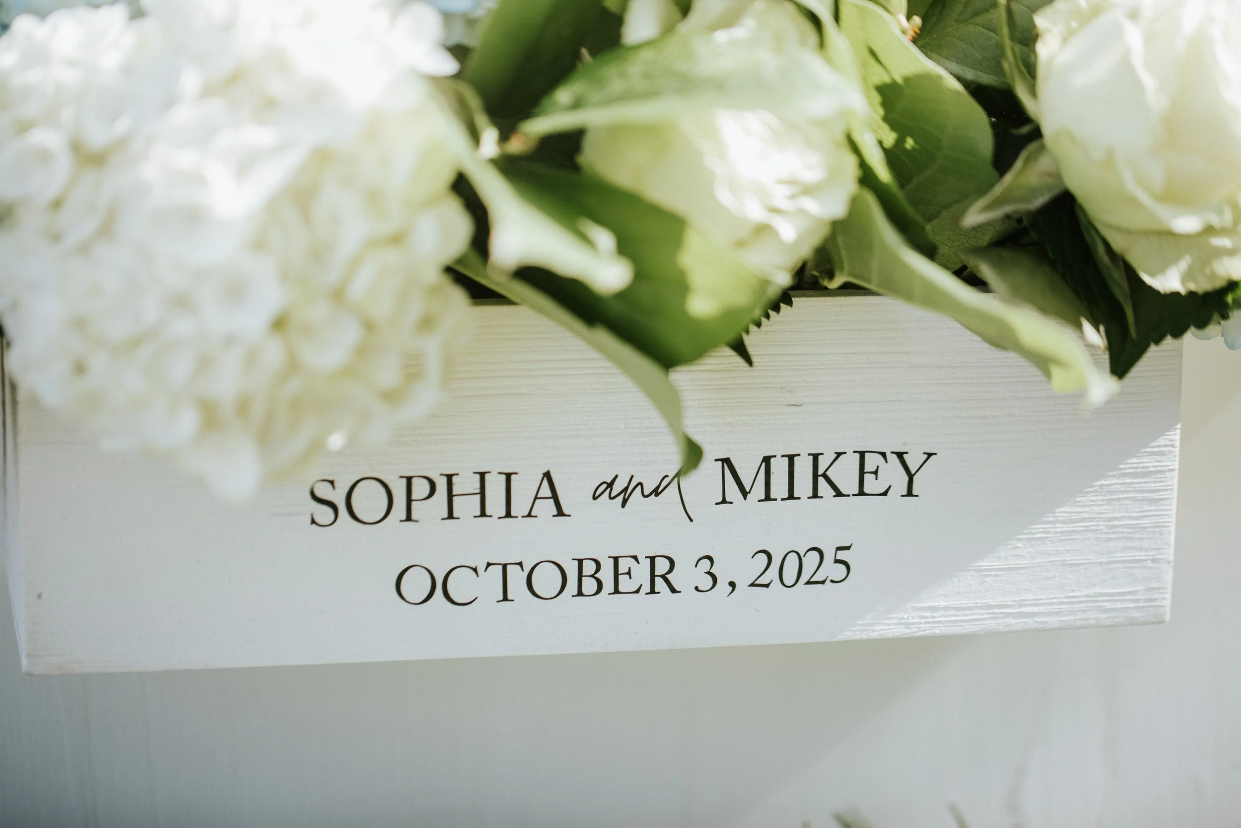 SophiaMikeyWeddingFinal-411.jpg