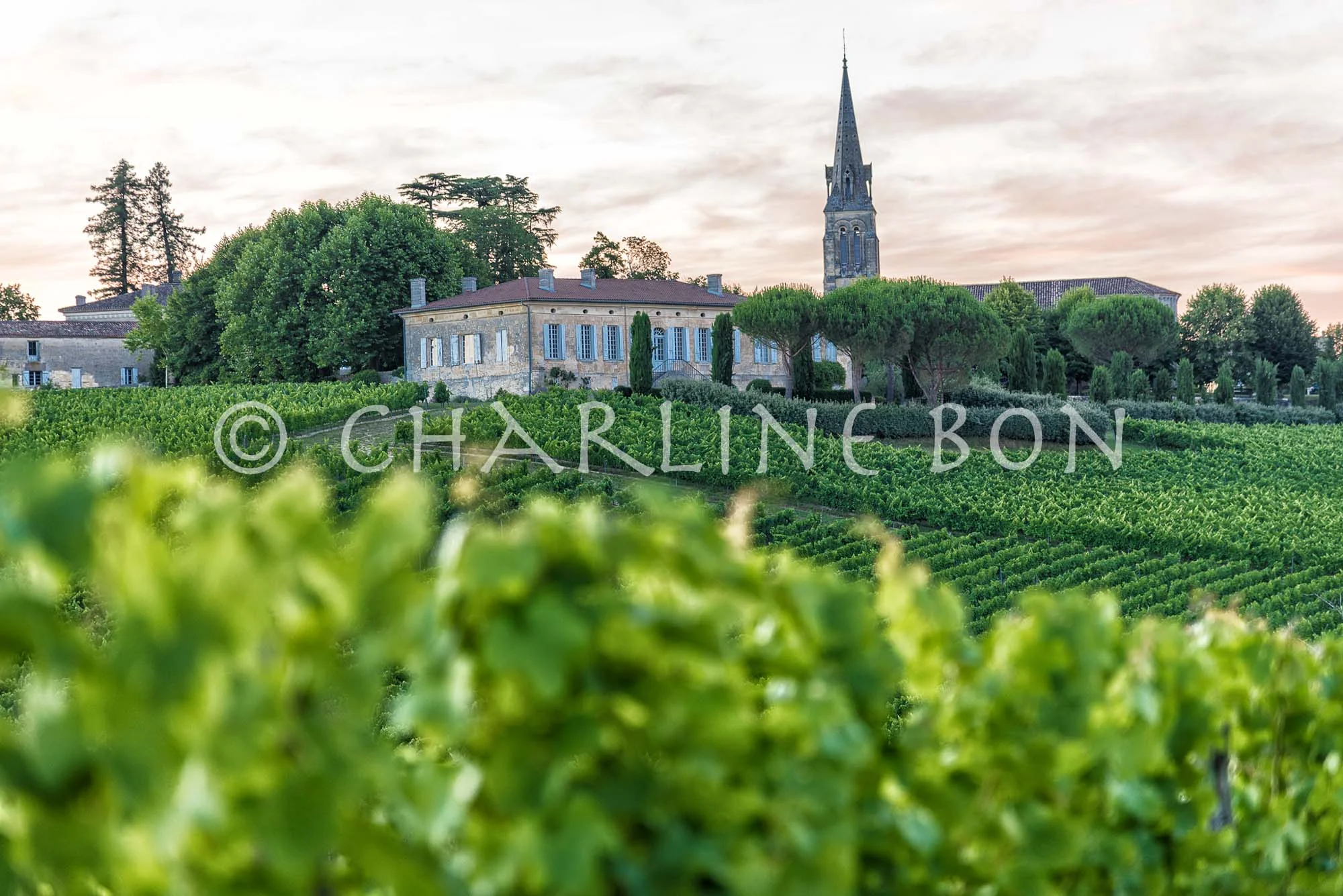 BAnque images bordeaux-9.jpg