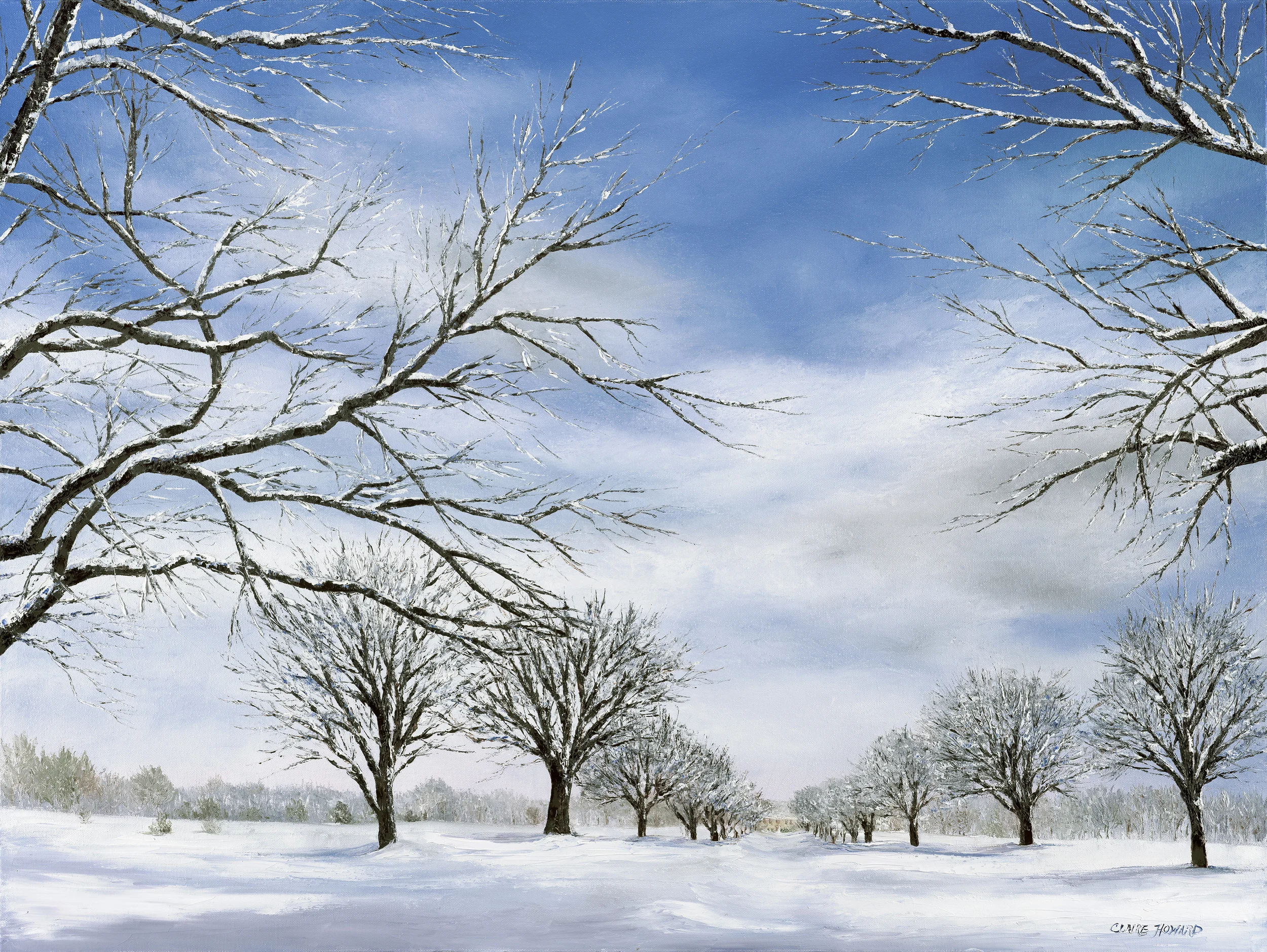 In the Softness, Oil 48x60