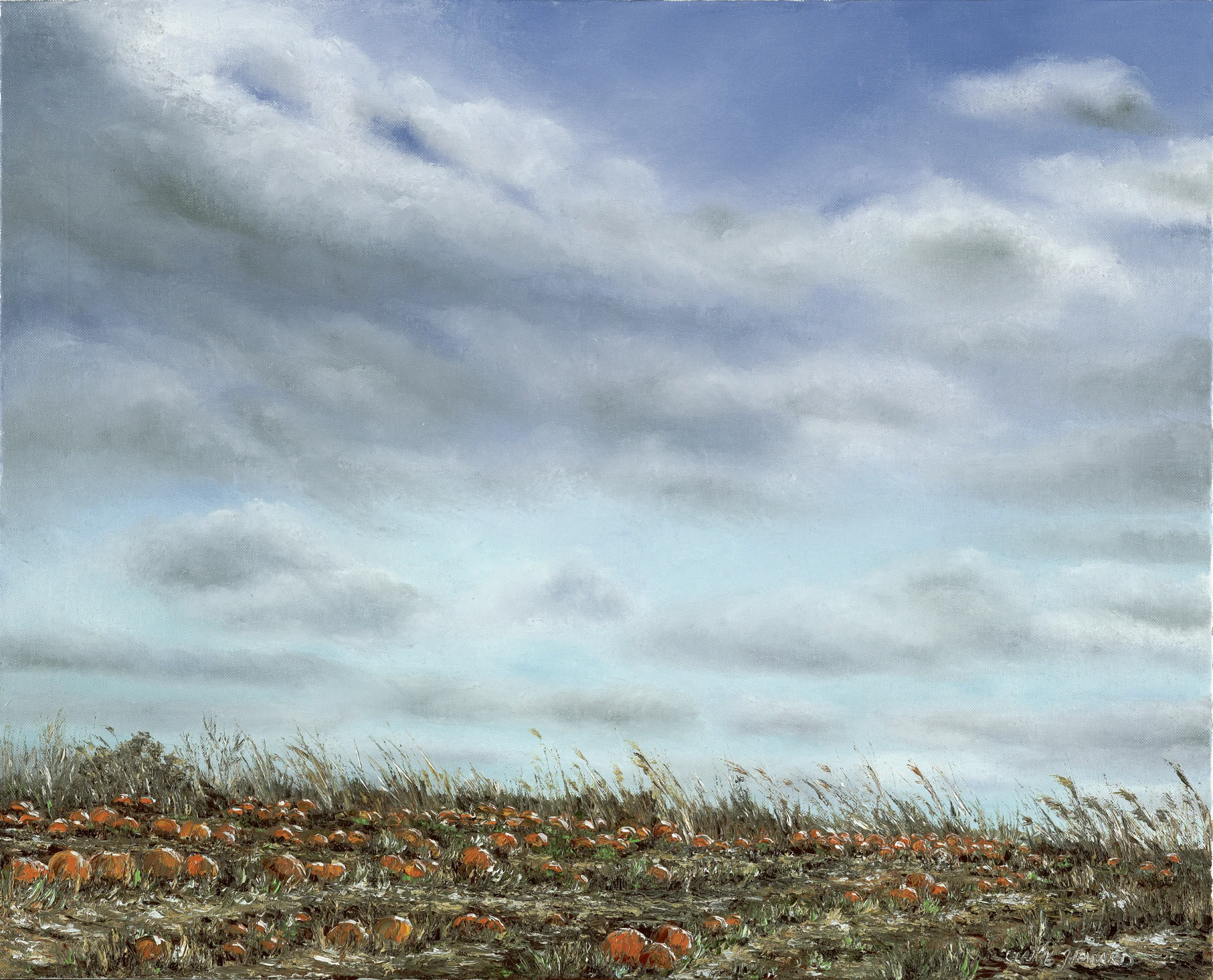 Thanksgiving Fields, Oil 20x24