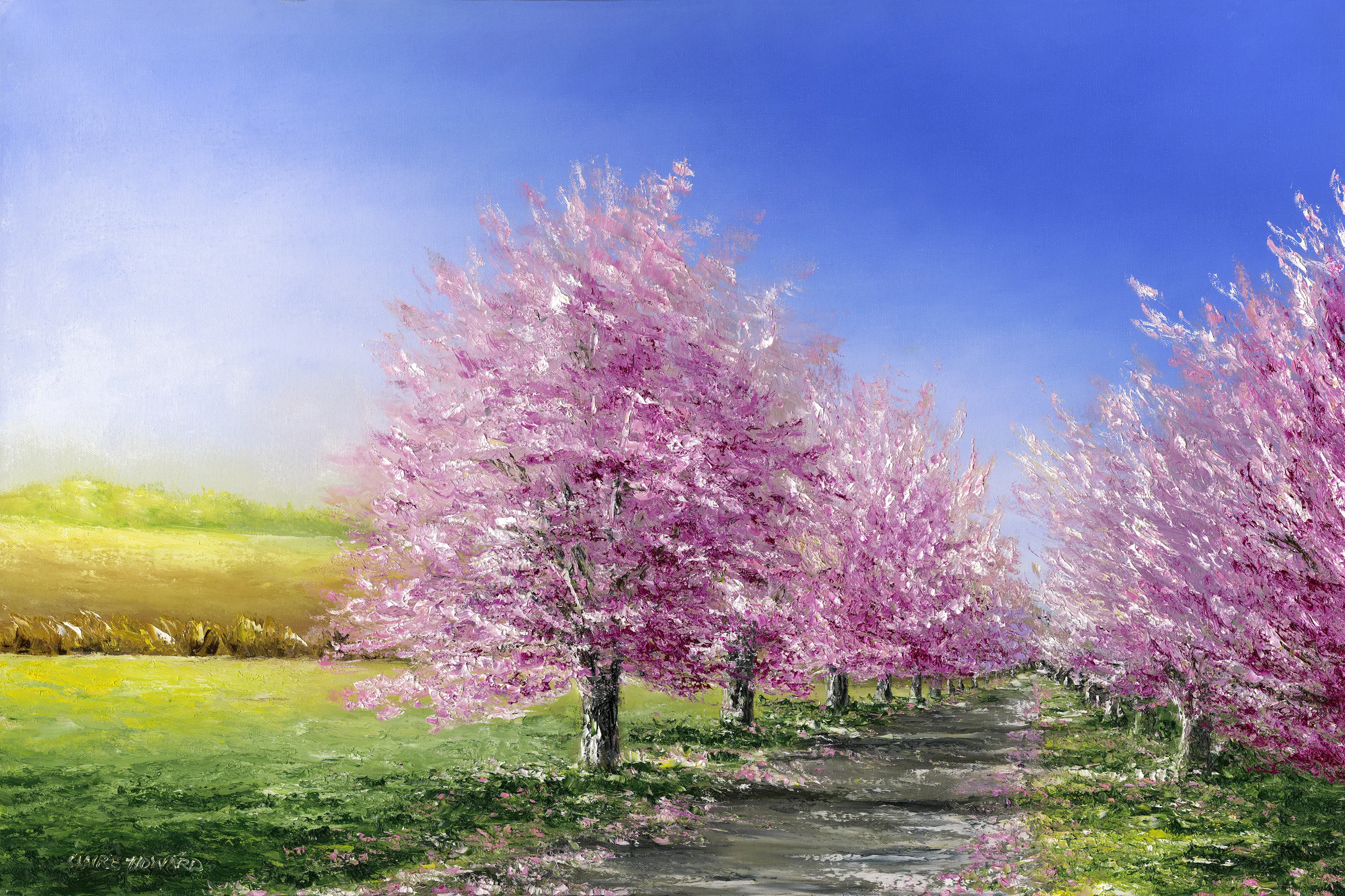 Pink Blossoms, Oil 20x24