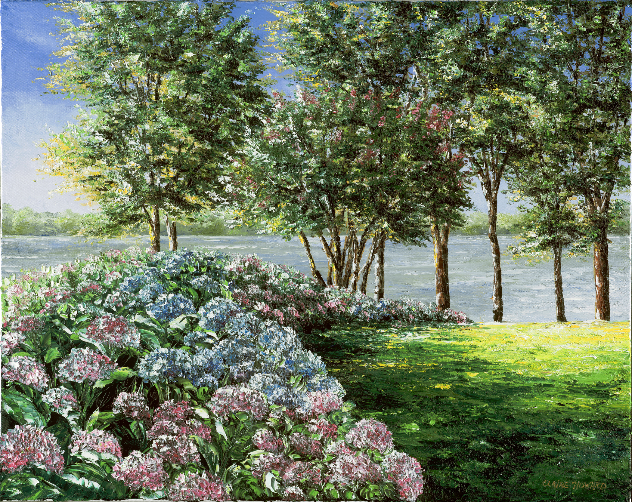 Sweet Annie's Hydrangeas, Oil 20x24