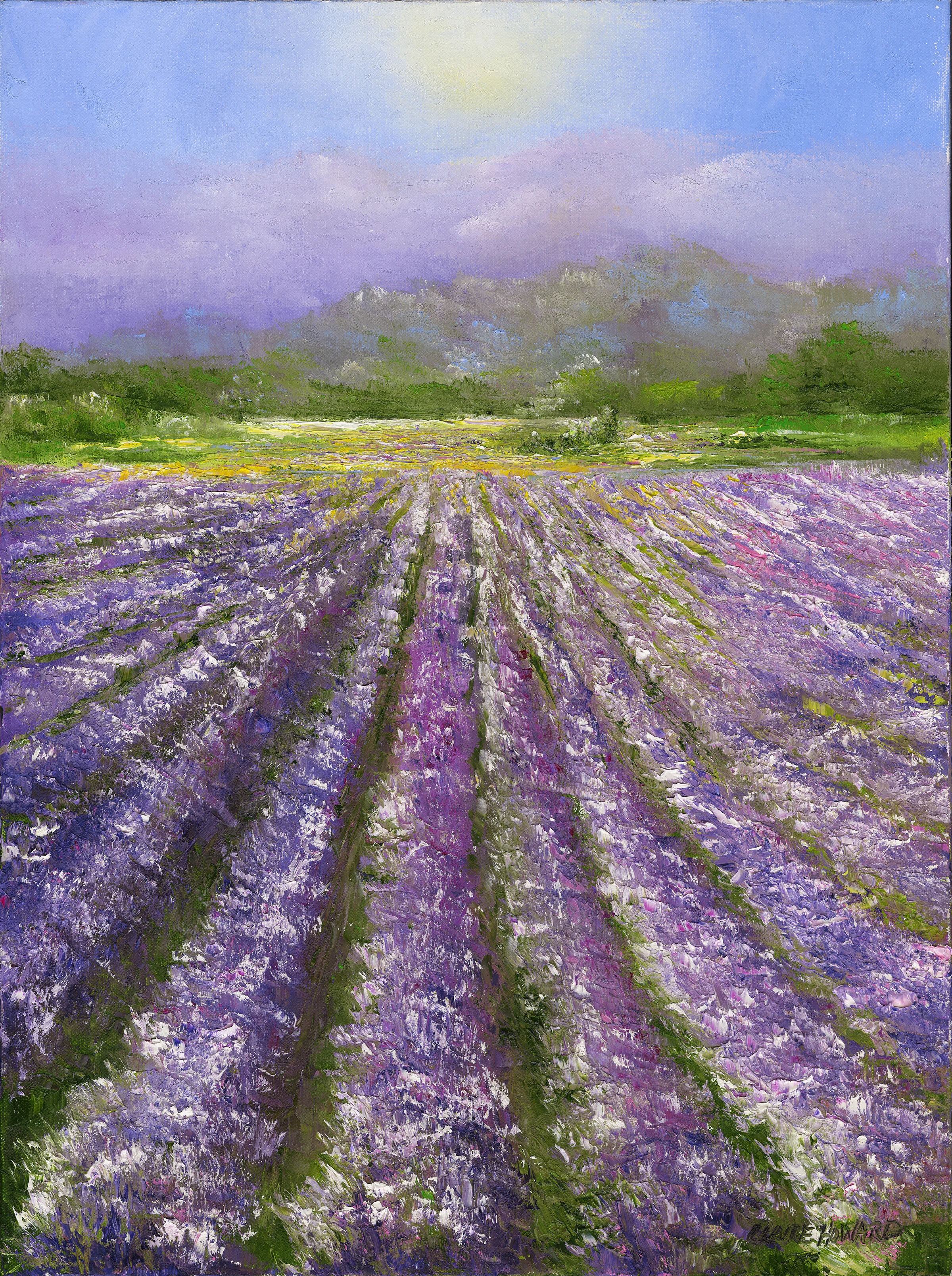 Fields of Provence, Oil 18x24