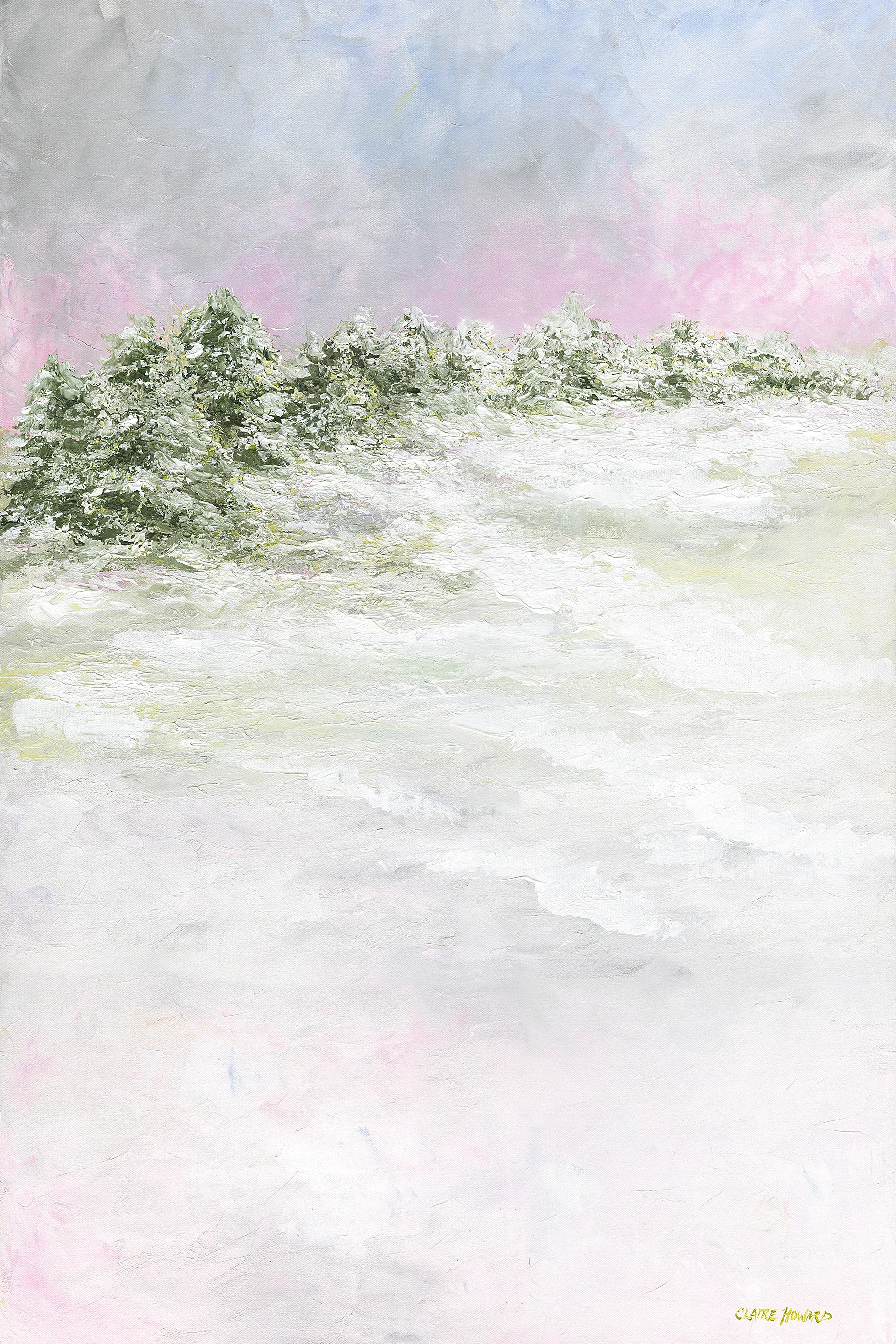 Tree Lines in the Snow