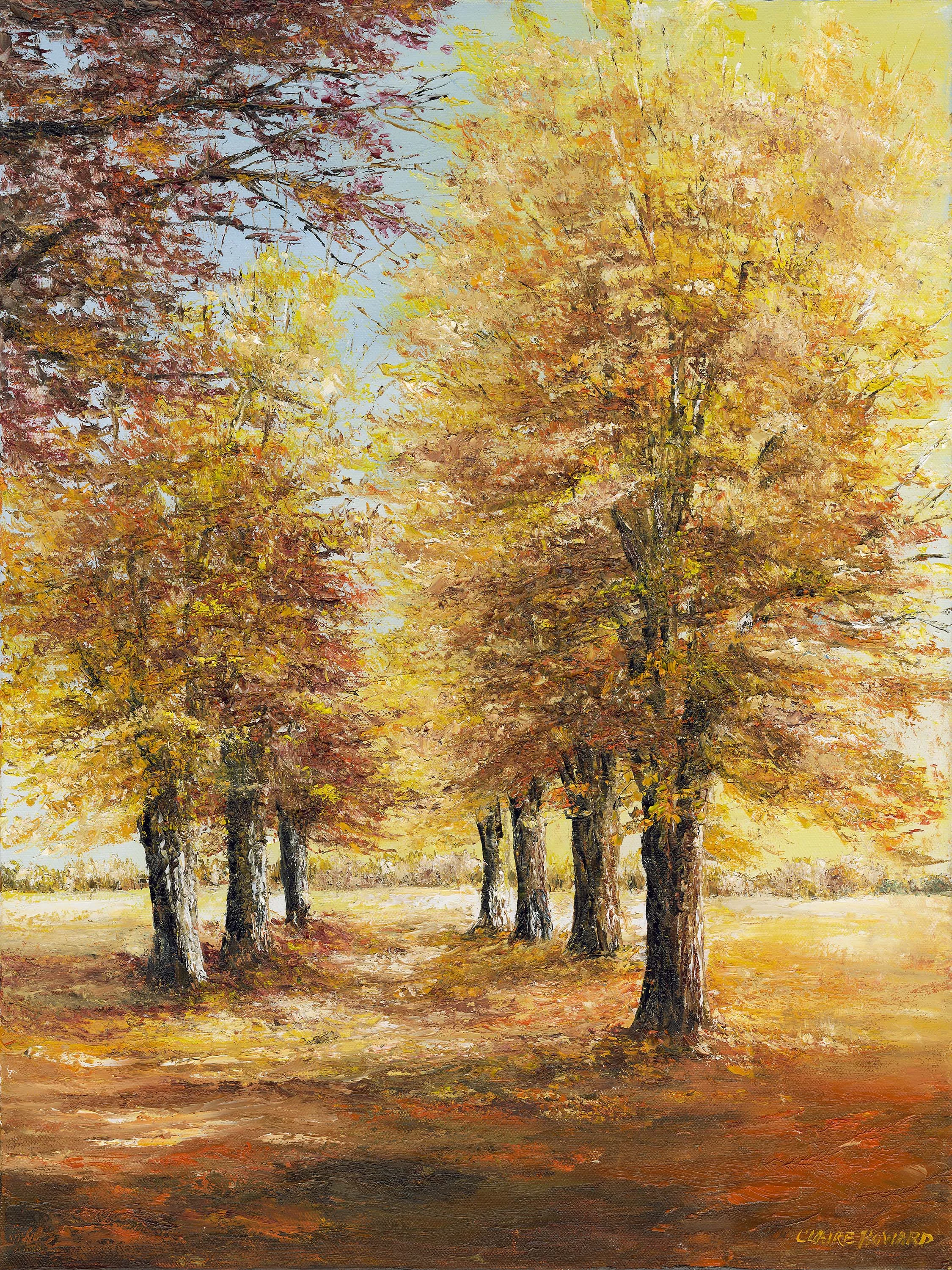 The Inner Light, Oil 20x24