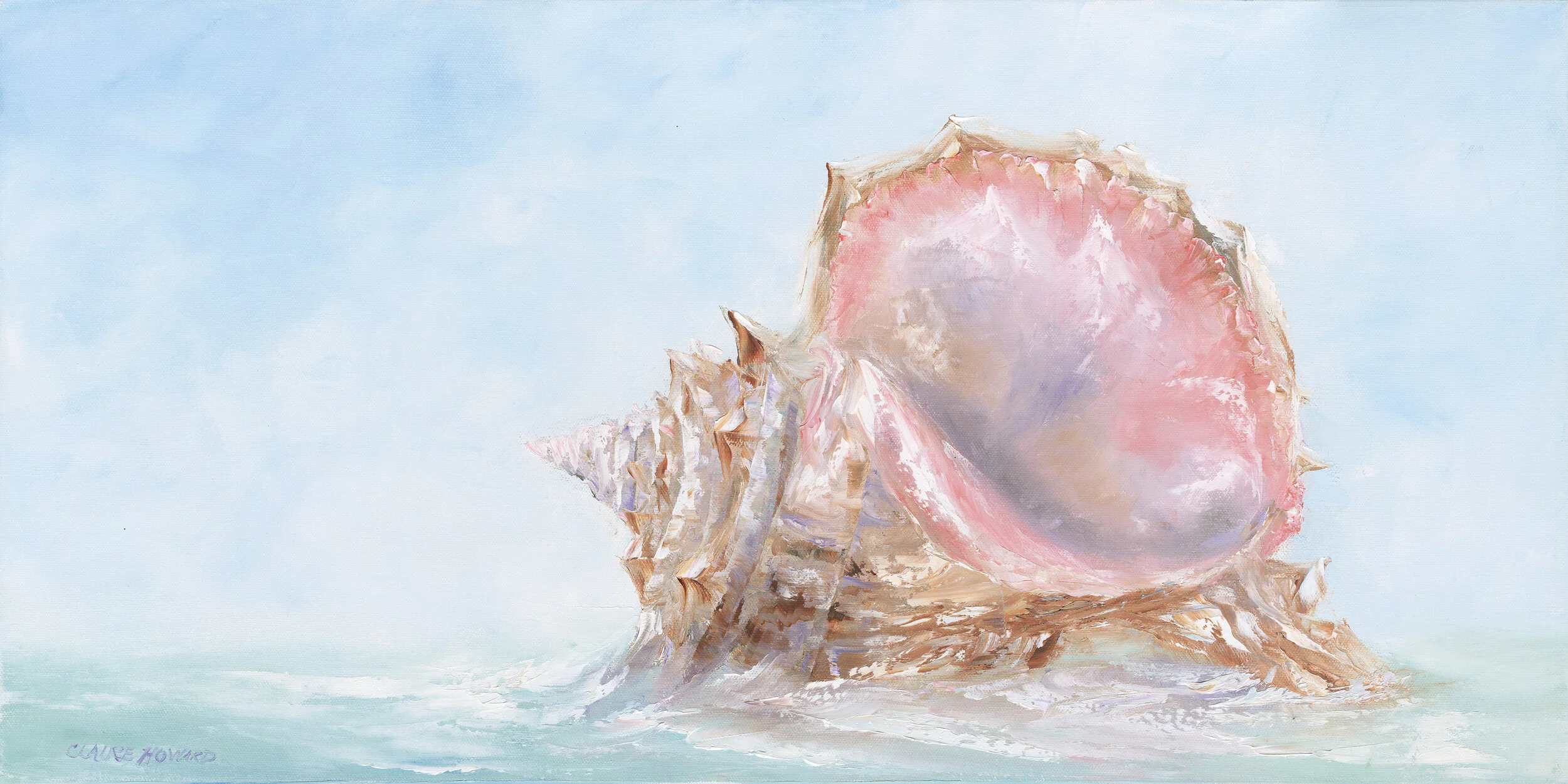 Coquina Shell in the Water, Oil 15x30