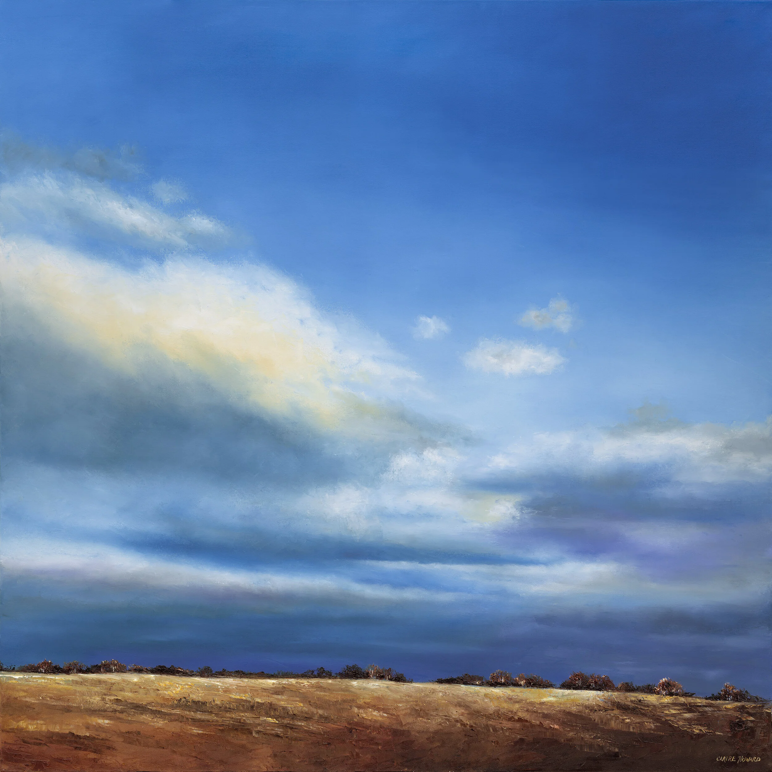 Blue Sky Smiling, Oil 48x48