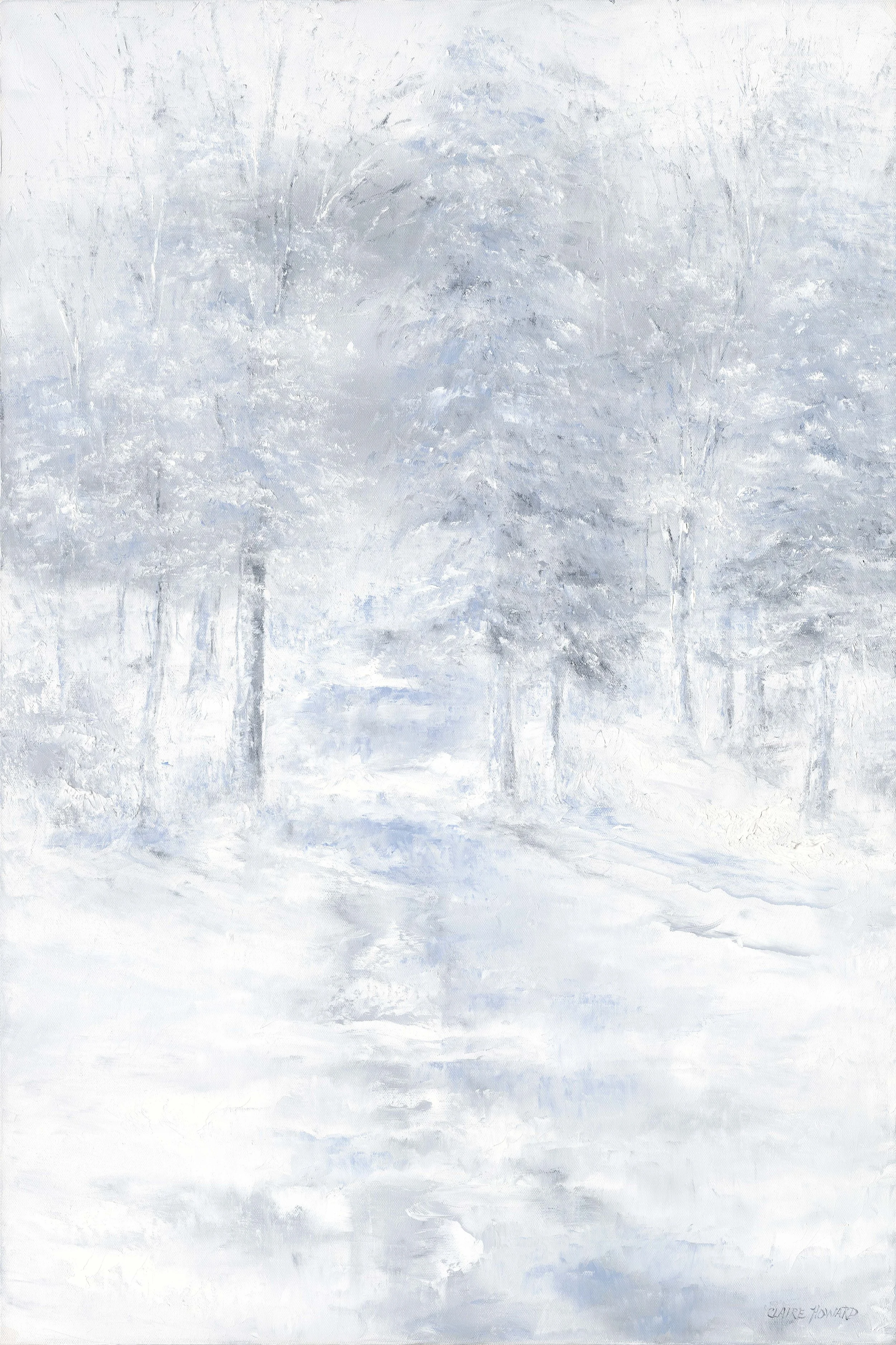 Imprints in the Snow