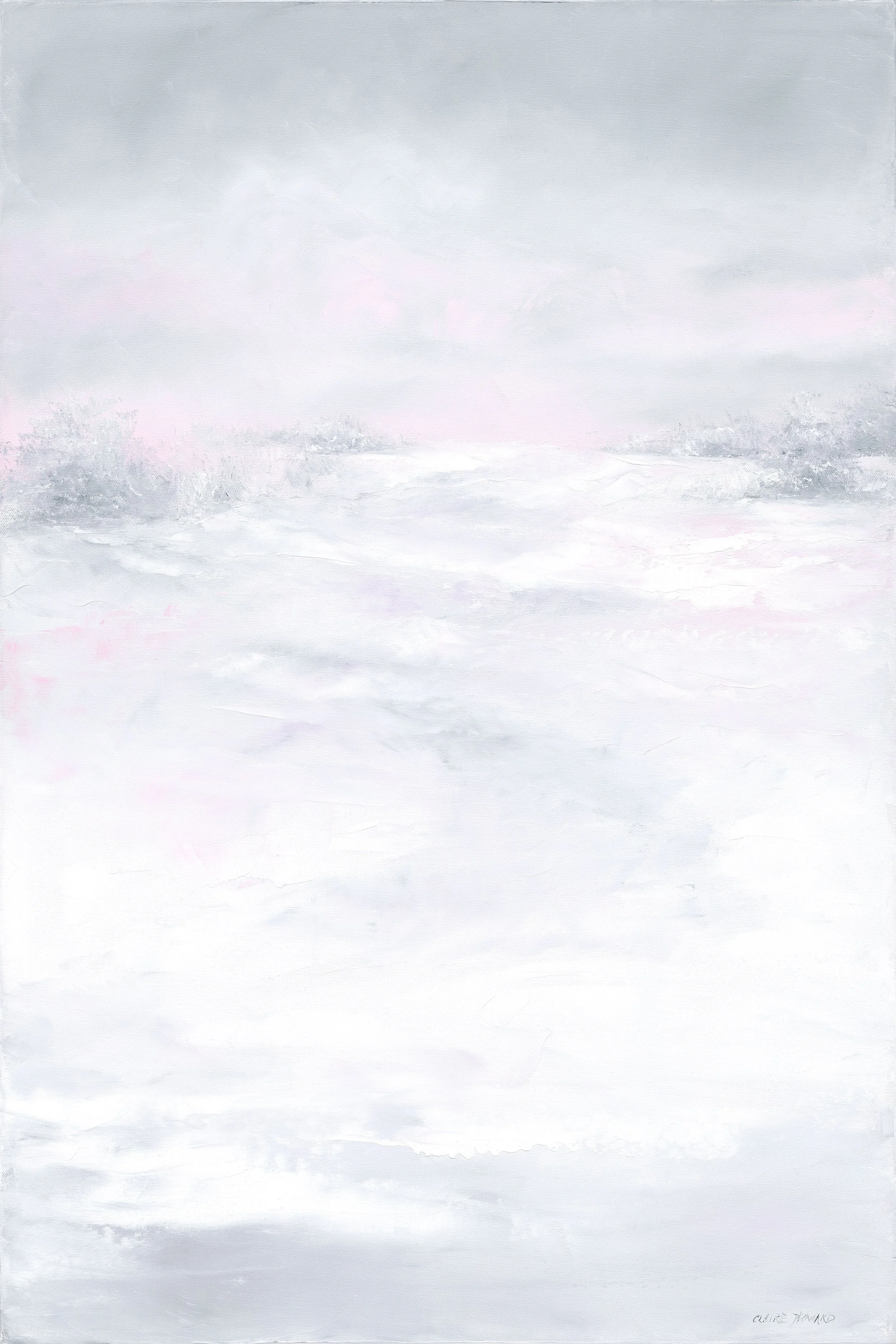 Snow Path to the Pasture