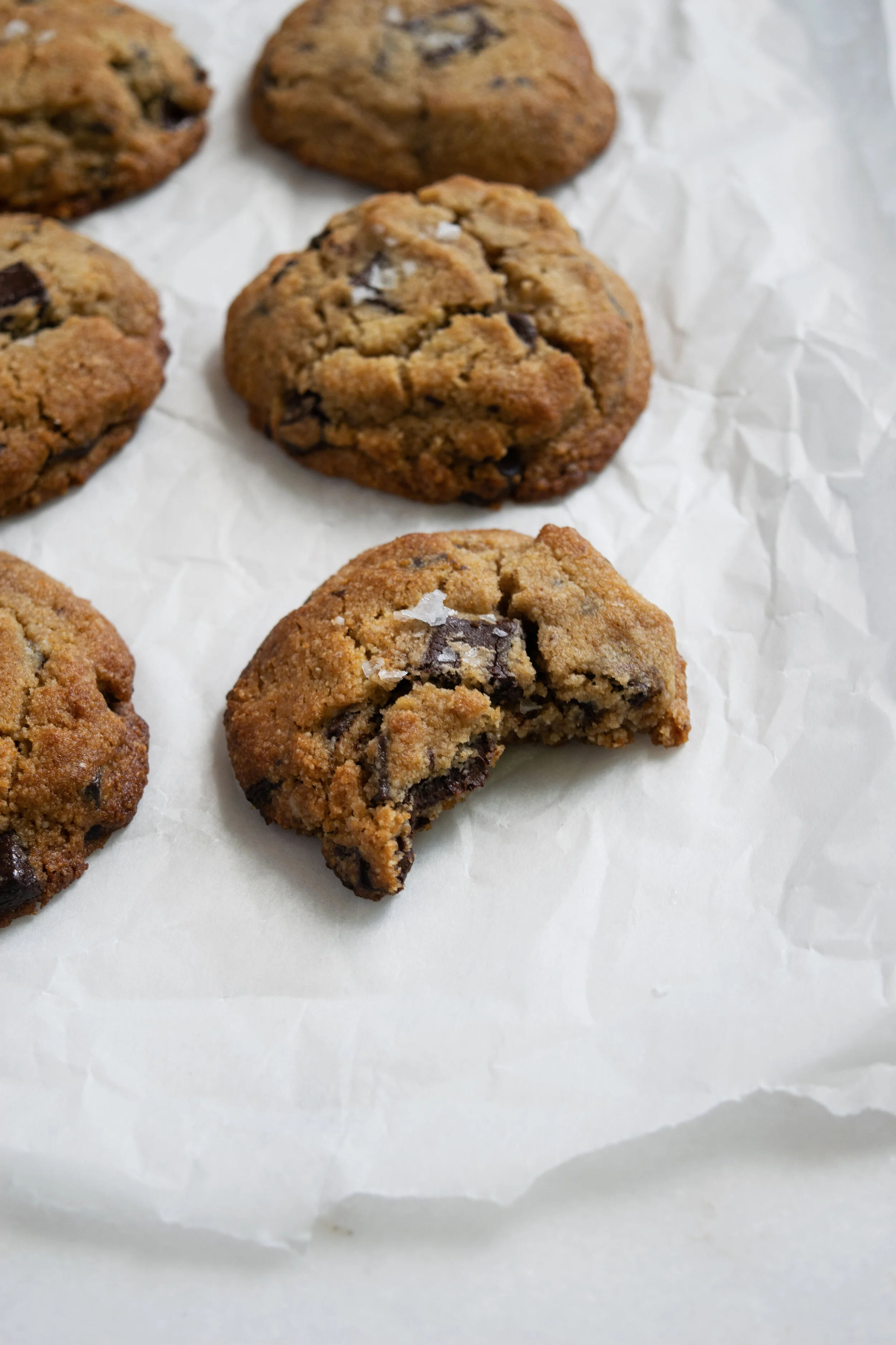 paleo chocolate chip cookies 1.jpg