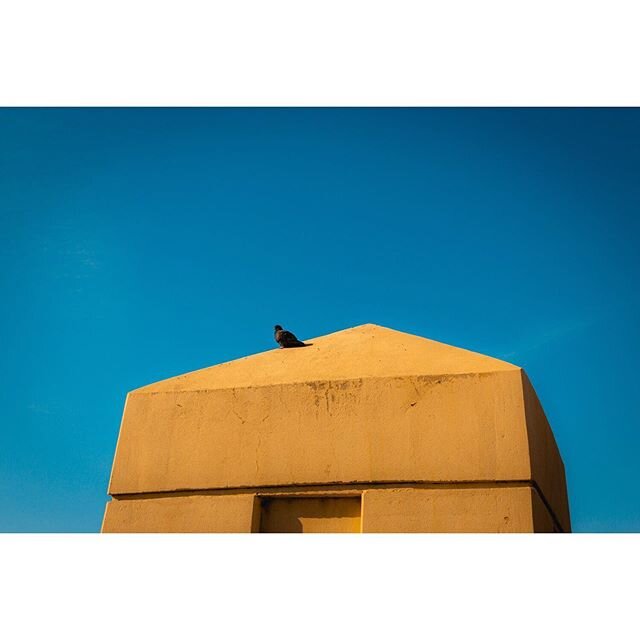 Sometimes birds of a feather flock together...and other times birds say &ldquo;flock it&rdquo; and do their own thang.
.
.
.
.
.
.
.
#freebird #flockit #birdsofafeather #doyourthang #raw_snap_minimal2 #minimalism #chillininsolitude #solotime #raw_com
