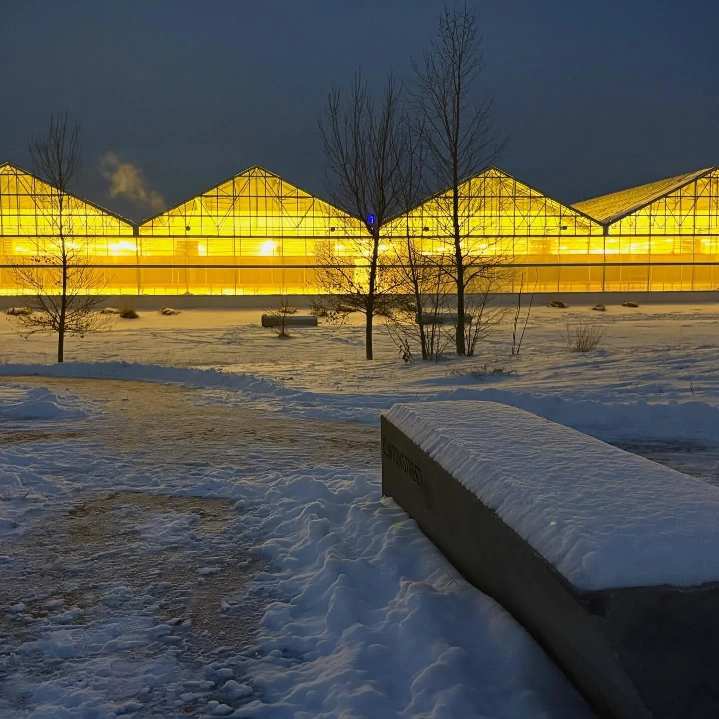 It&rsquo;s a spring snow day in Denver and I&rsquo;m not complaining! New blog post, &ldquo;Caught Looking at the Box&rdquo;, drops this Sunday morning. Sign up to receive updates - link in my bio. Thank you for tuning in!
🌨️📦📣
.
.
.
#artinprogres