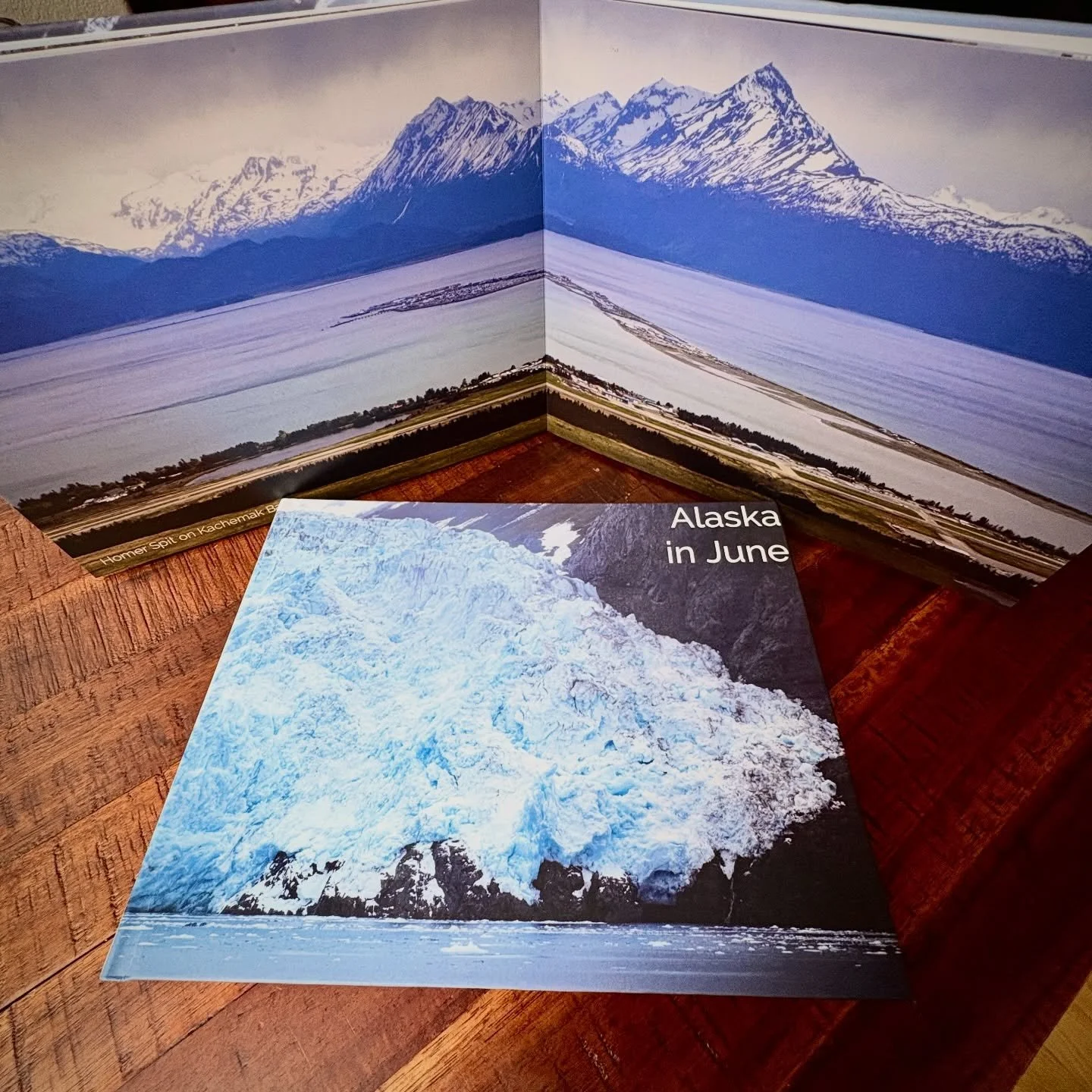Let&rsquo;s play a game. I made a coffee table book in 2024 from my #Alaska adventures, and over the last year have been stashing copies in free libraries, AirBNBs, hotel lobbies across the states. Have you found one? Holler, tag me, let&rsquo;s conn