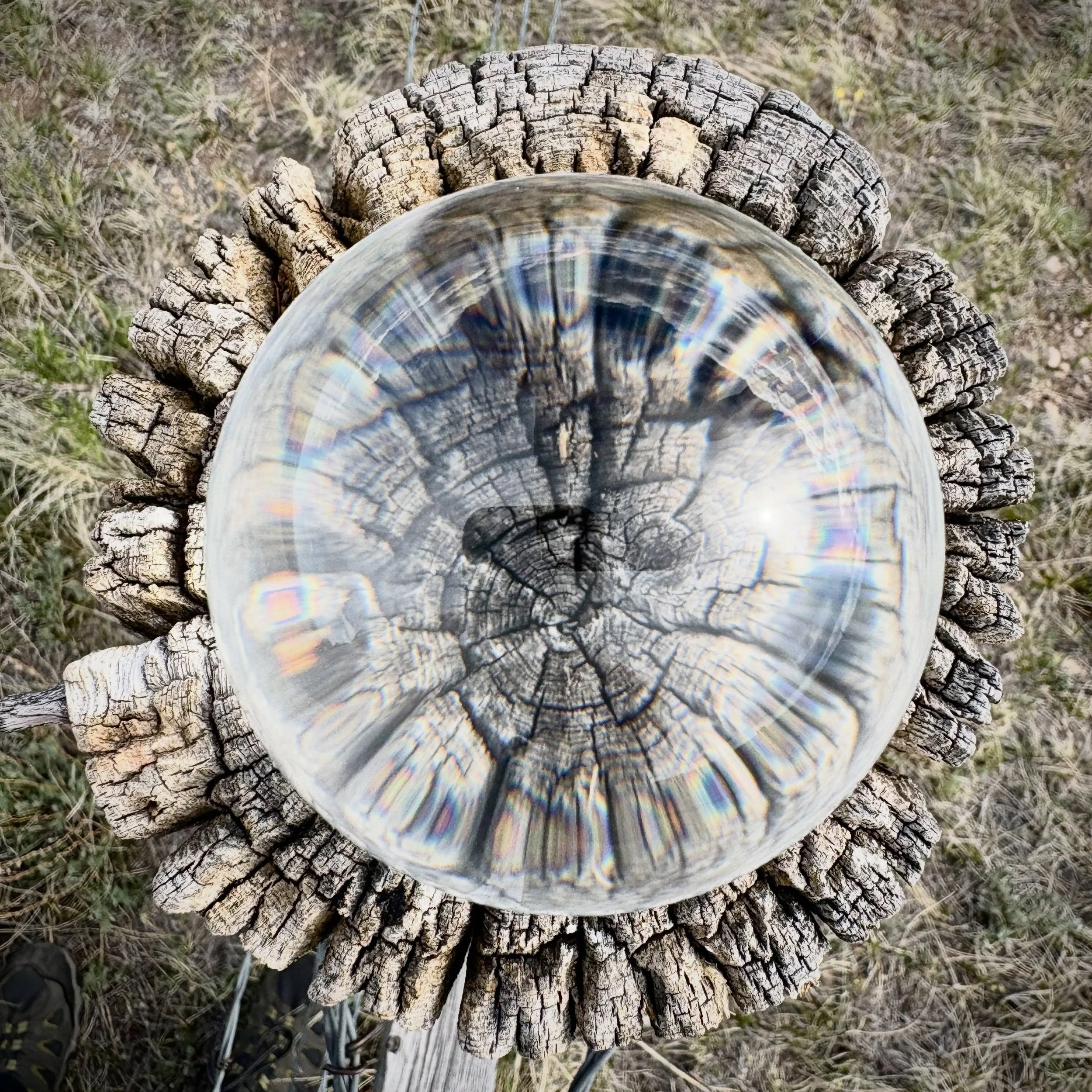 First looks like a water droplet.
Second features several 13- and 14-ers.
Third is the highest suspension bridge in the U.S.
Fourth, get after it.
💧⛰️🌉
.
.
.
#travel #explore 
#lensball #colorado
#staycurious
🍰