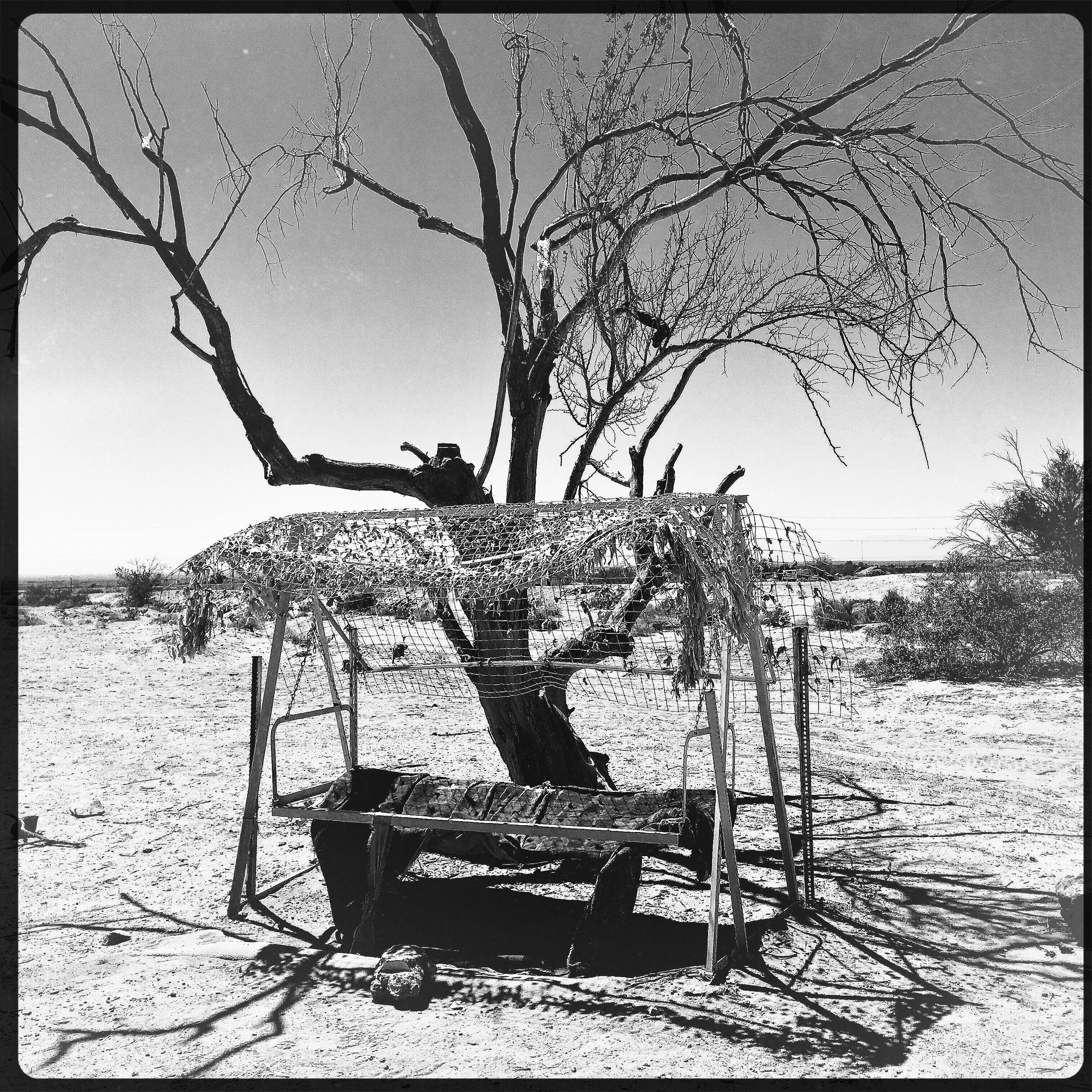 Leonard's spot for resting