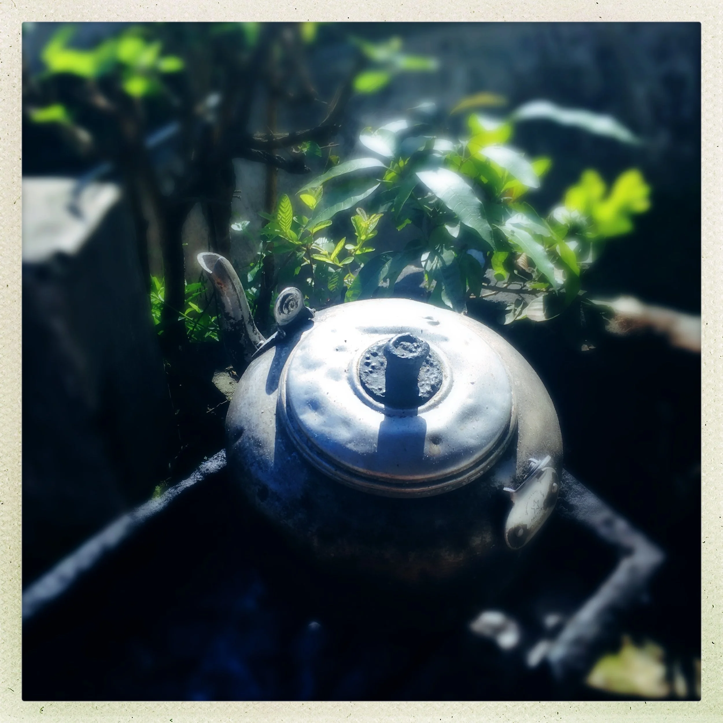 tea pot near Mt. Merapi