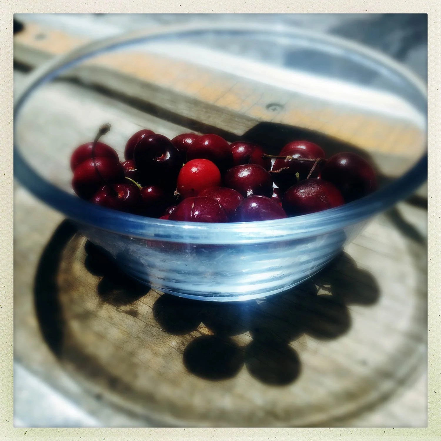 Third International  Phone-ography Competition