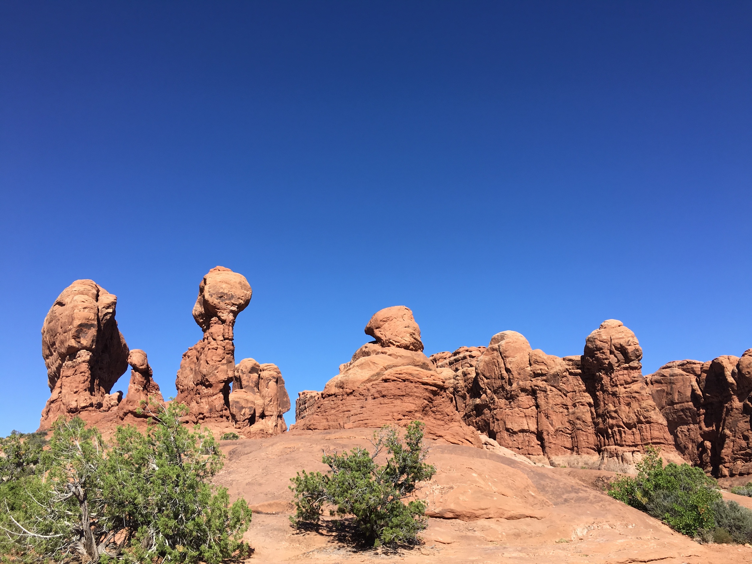 Here's a fun game to play in Arches: it's called "spot the cock" in the formations. I spy two in this picture. How many can you see? Invite all your friends and family to play this totally reverent and mature game!