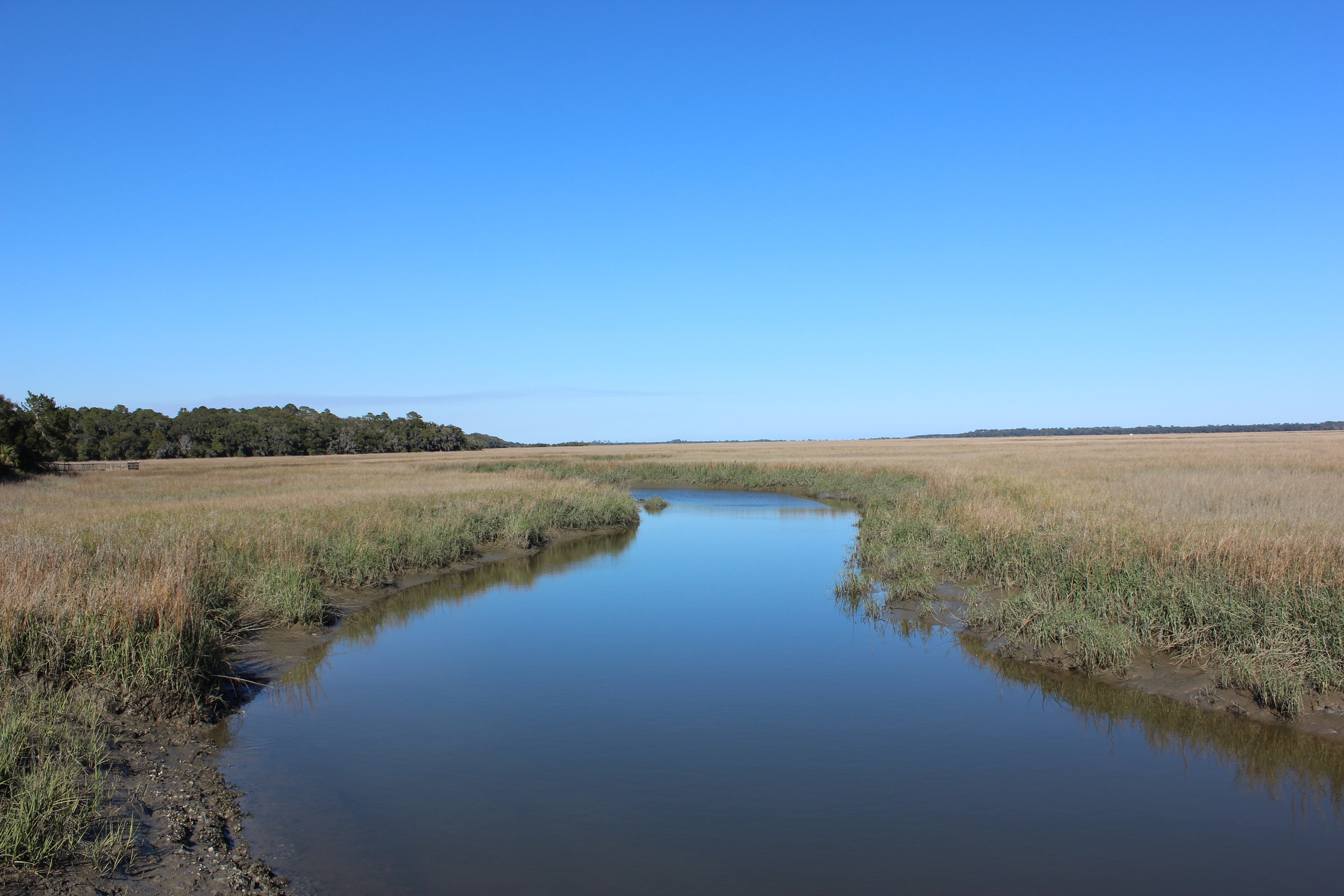   Conservation   Sustaining our Vibrant and Diverse Lands   What We Do  