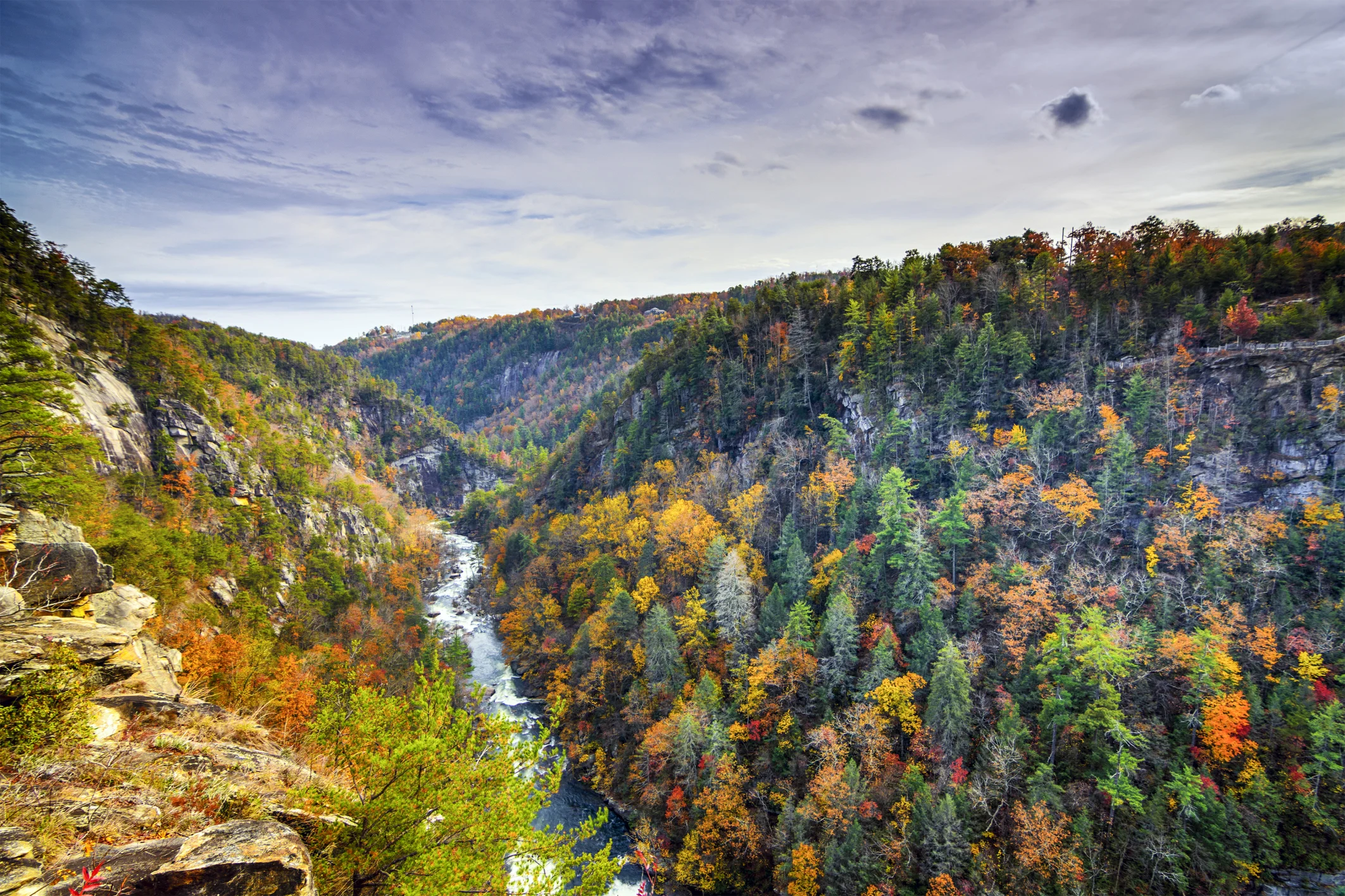 Georgia Association of Conservation Districts Protecting, Conserving, and Enhancing Georgia's Natural Resources