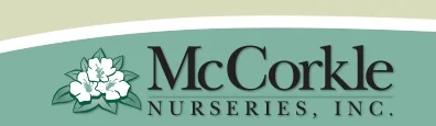 mccorkle.jpg