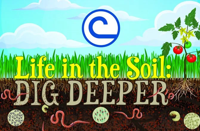 2019 Stewardship theme