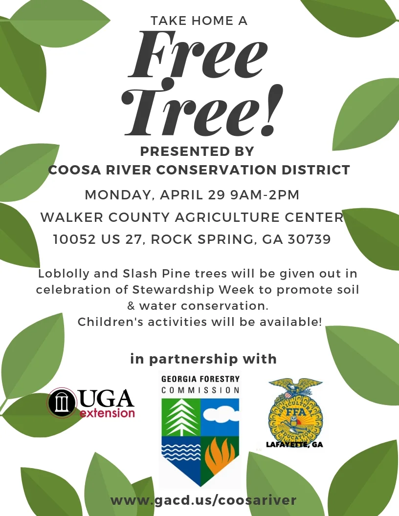 Tree Giveaway Flyer.jpg