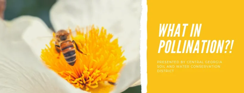 What In Pollination Workshop