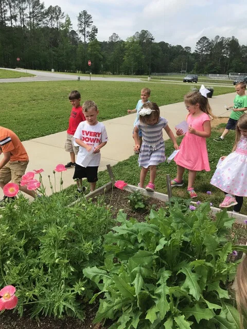Pollinator Demonstration Garden sponsored by the Catoosa County Conservation District and USDA- NRCS.